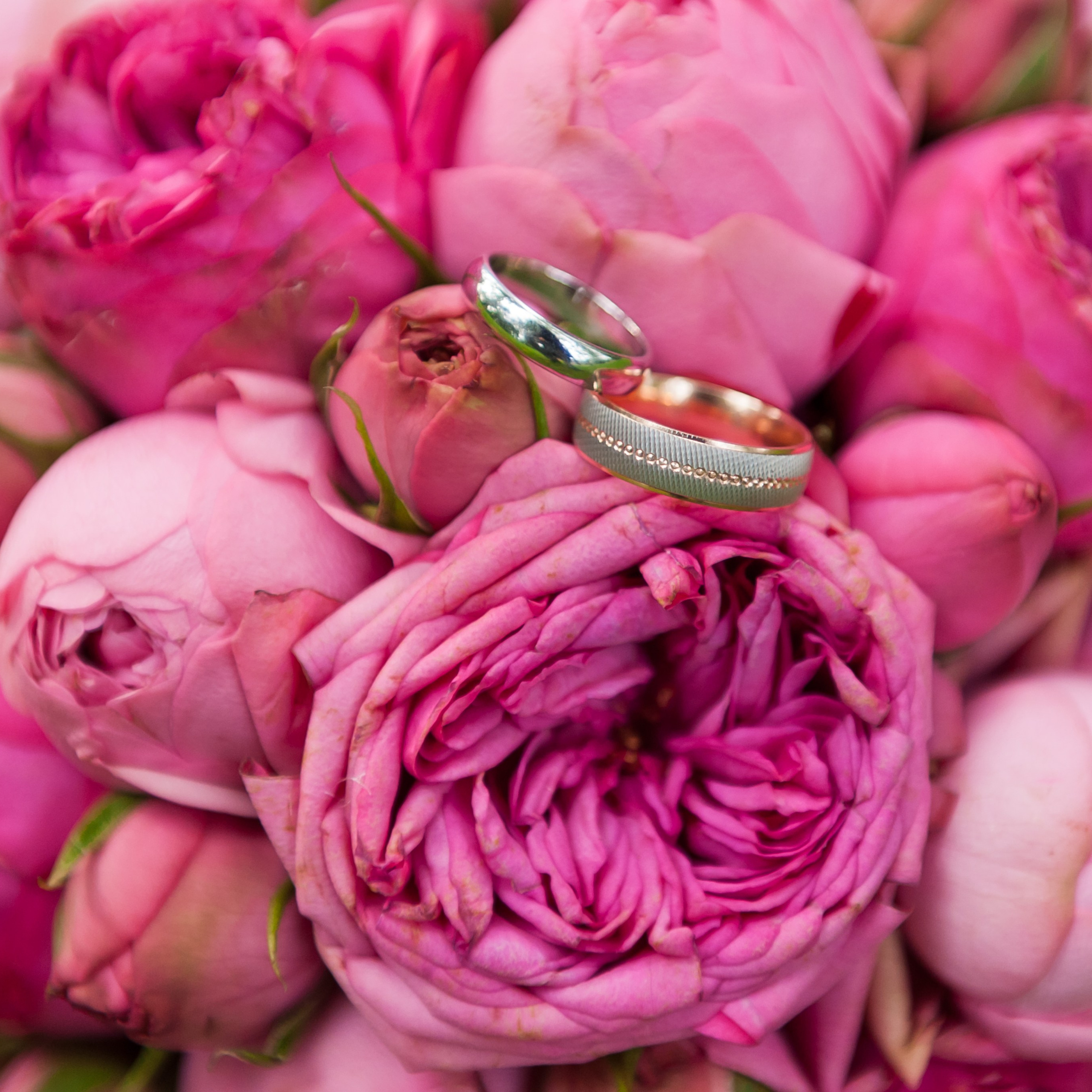 Отзывы. Фотограф Егоров Констанин