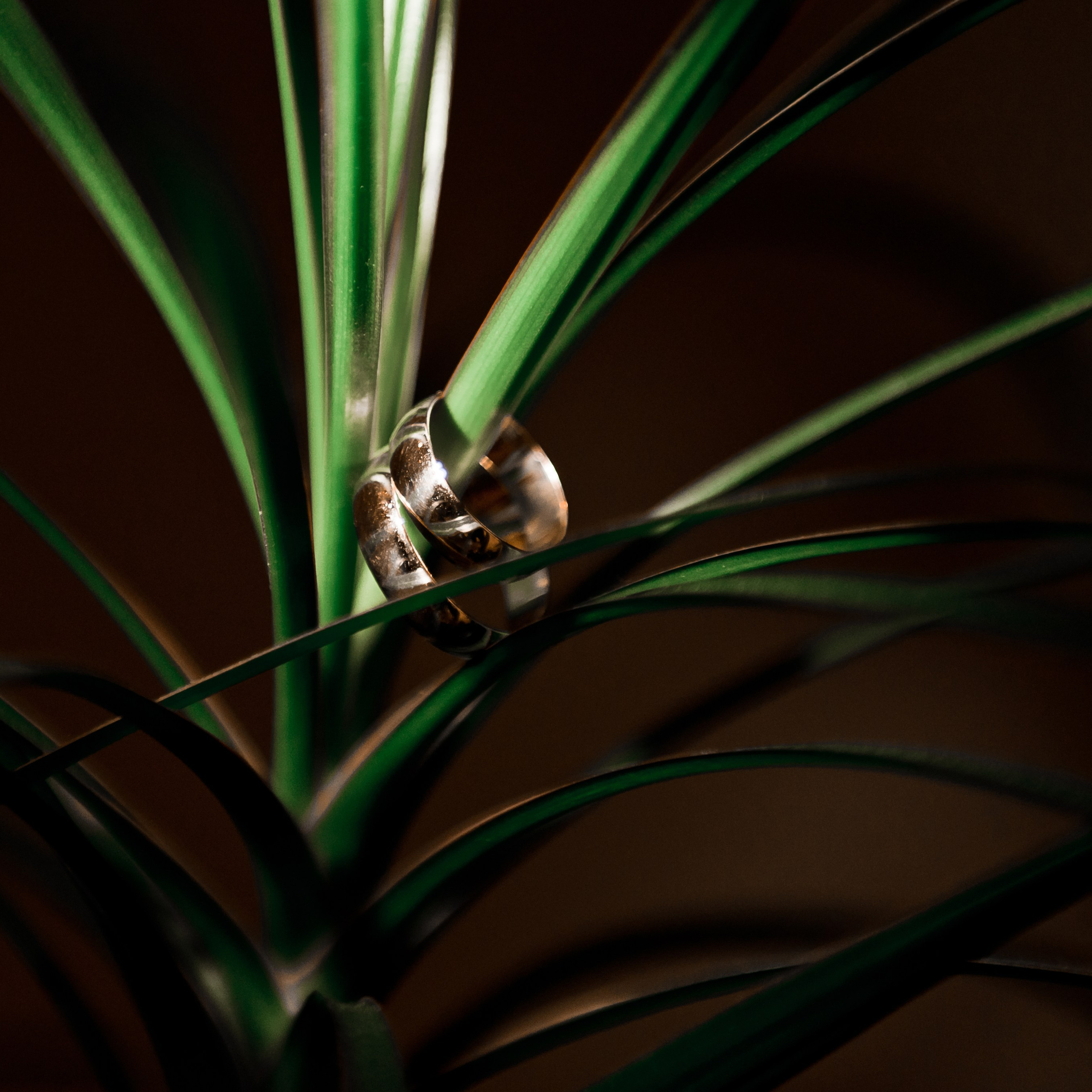 Отзывы. Фотограф Егоров Констанин