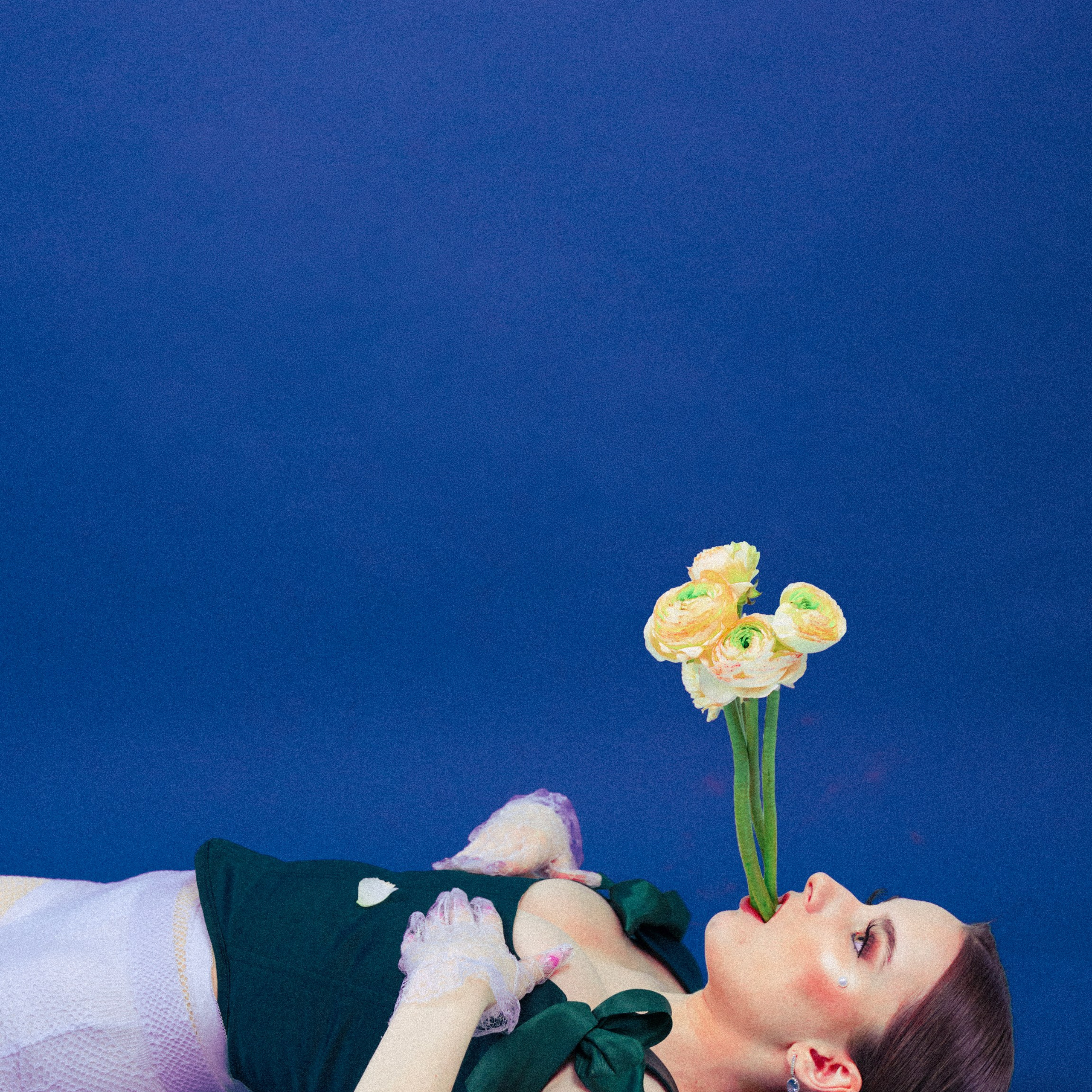 Кис кис. Лендинг