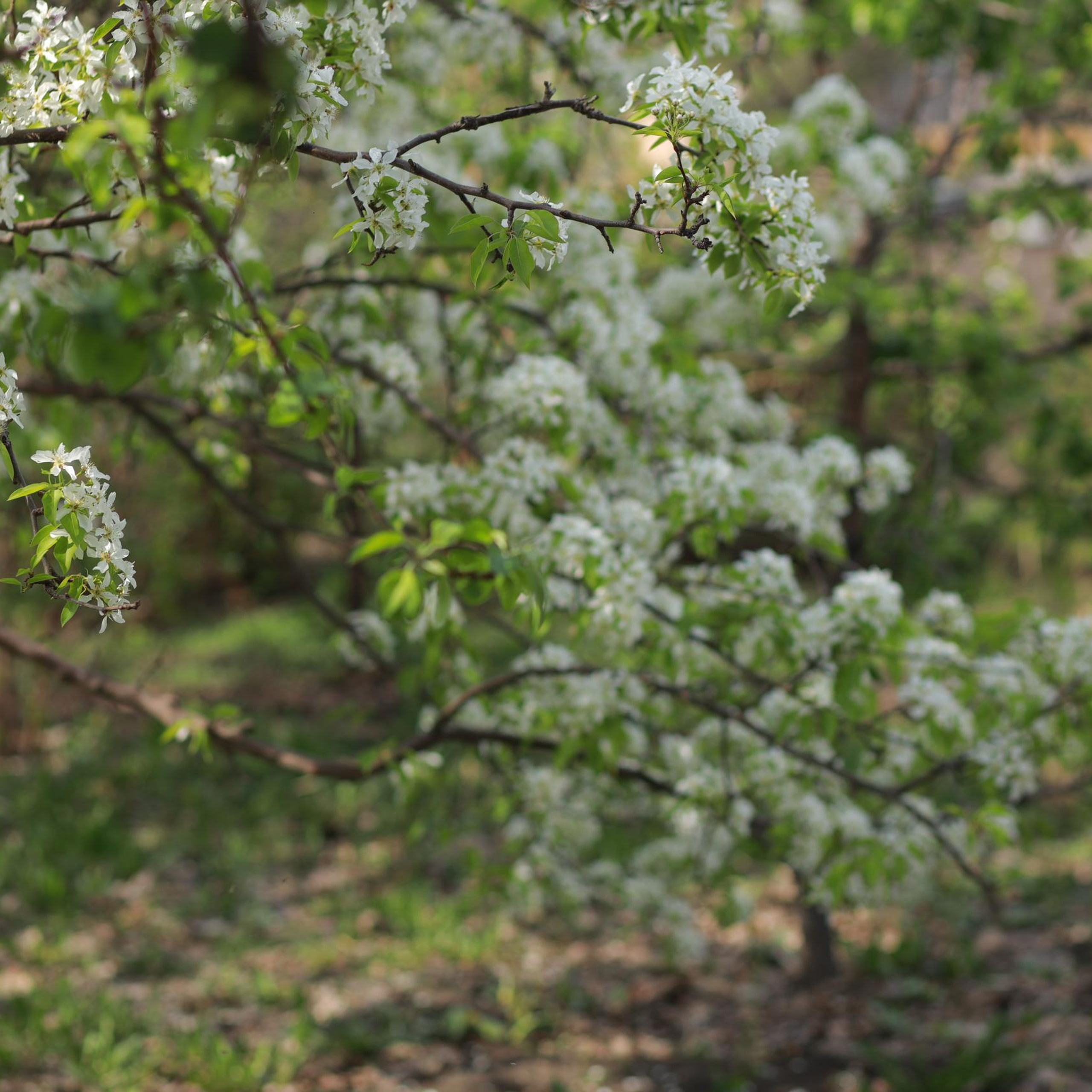 Отзывы. Свадебный и семейный фотограф в Челябинске