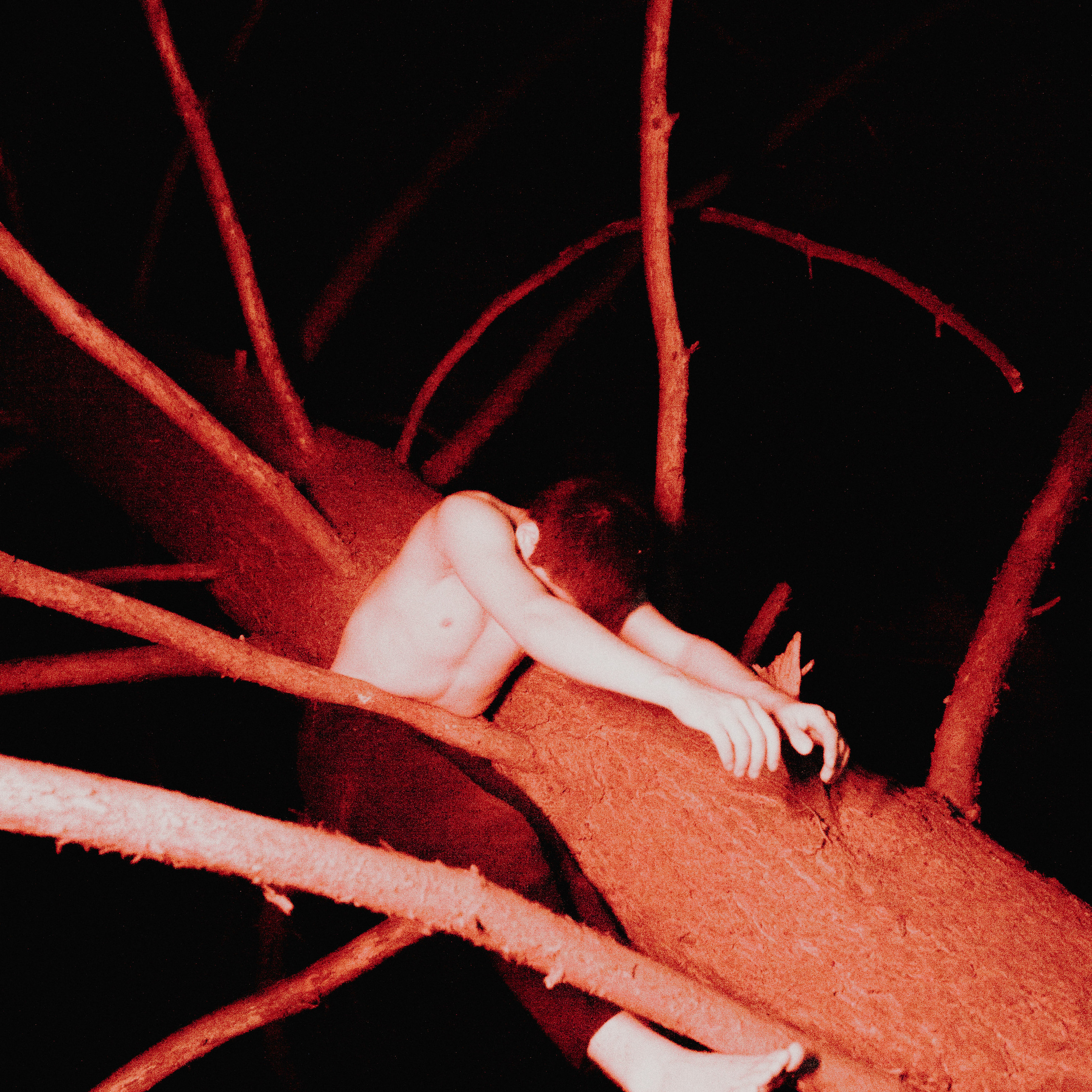 Завис. Дима Климт