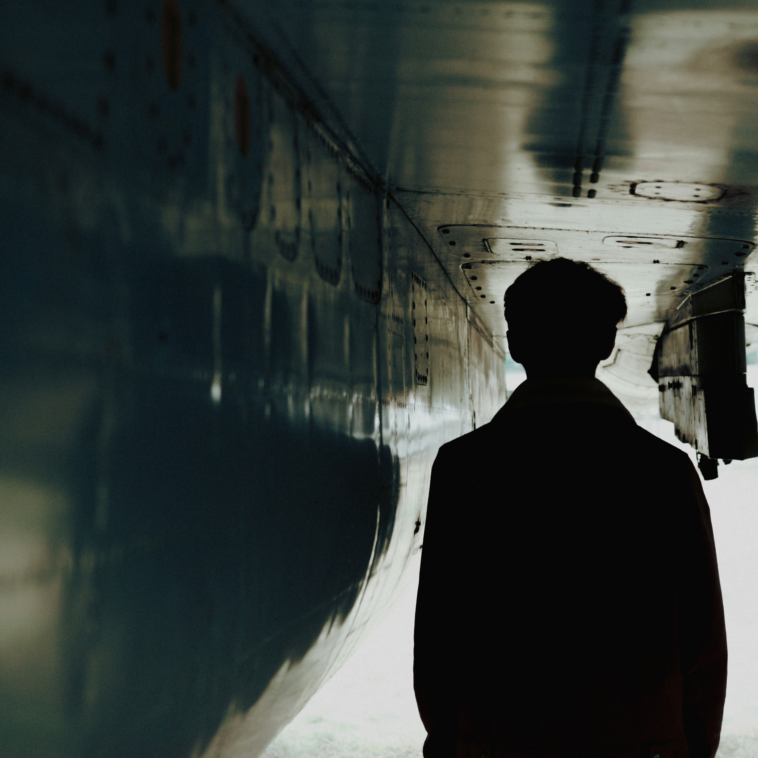 Полет. Дима Климт