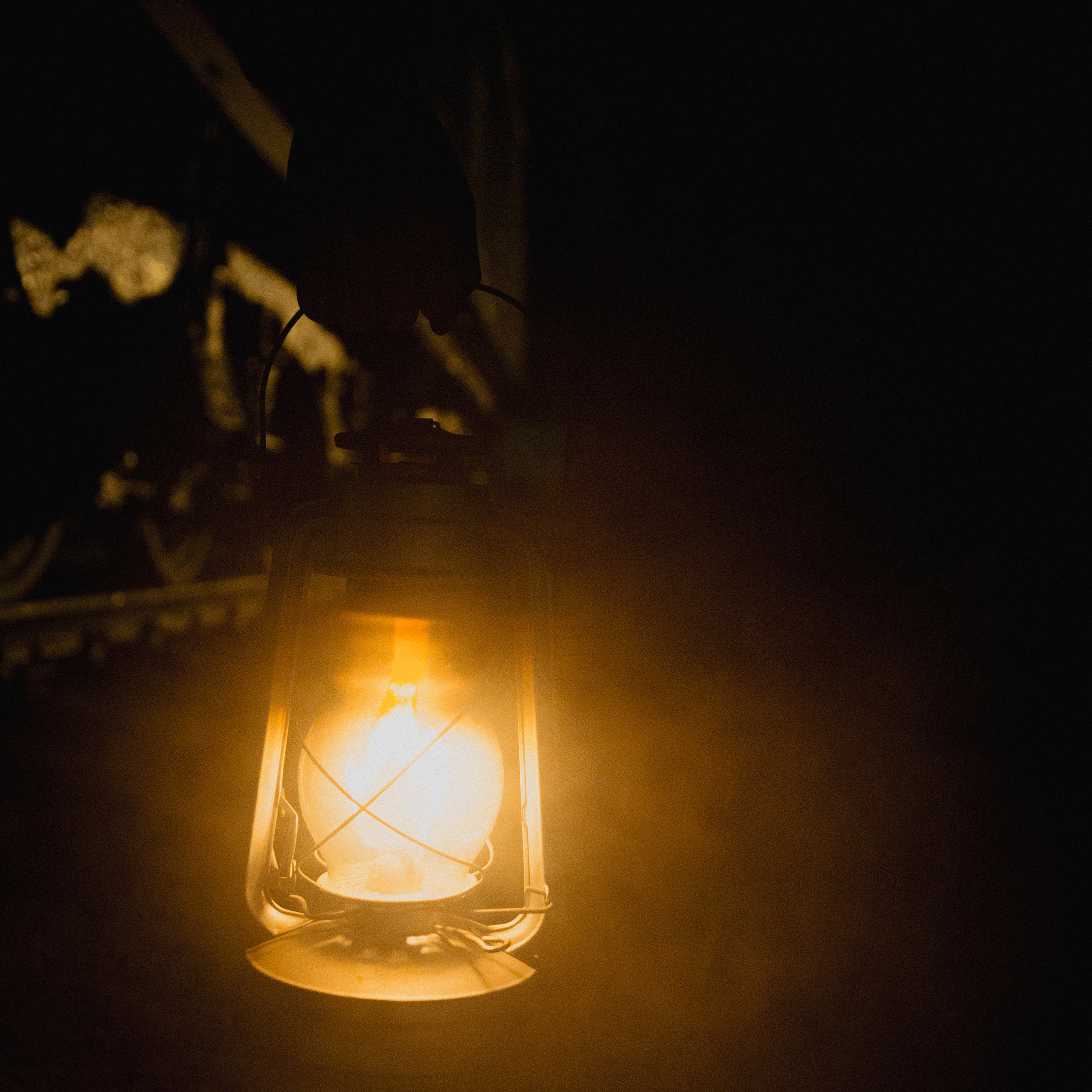 Проводник. Дима Климт