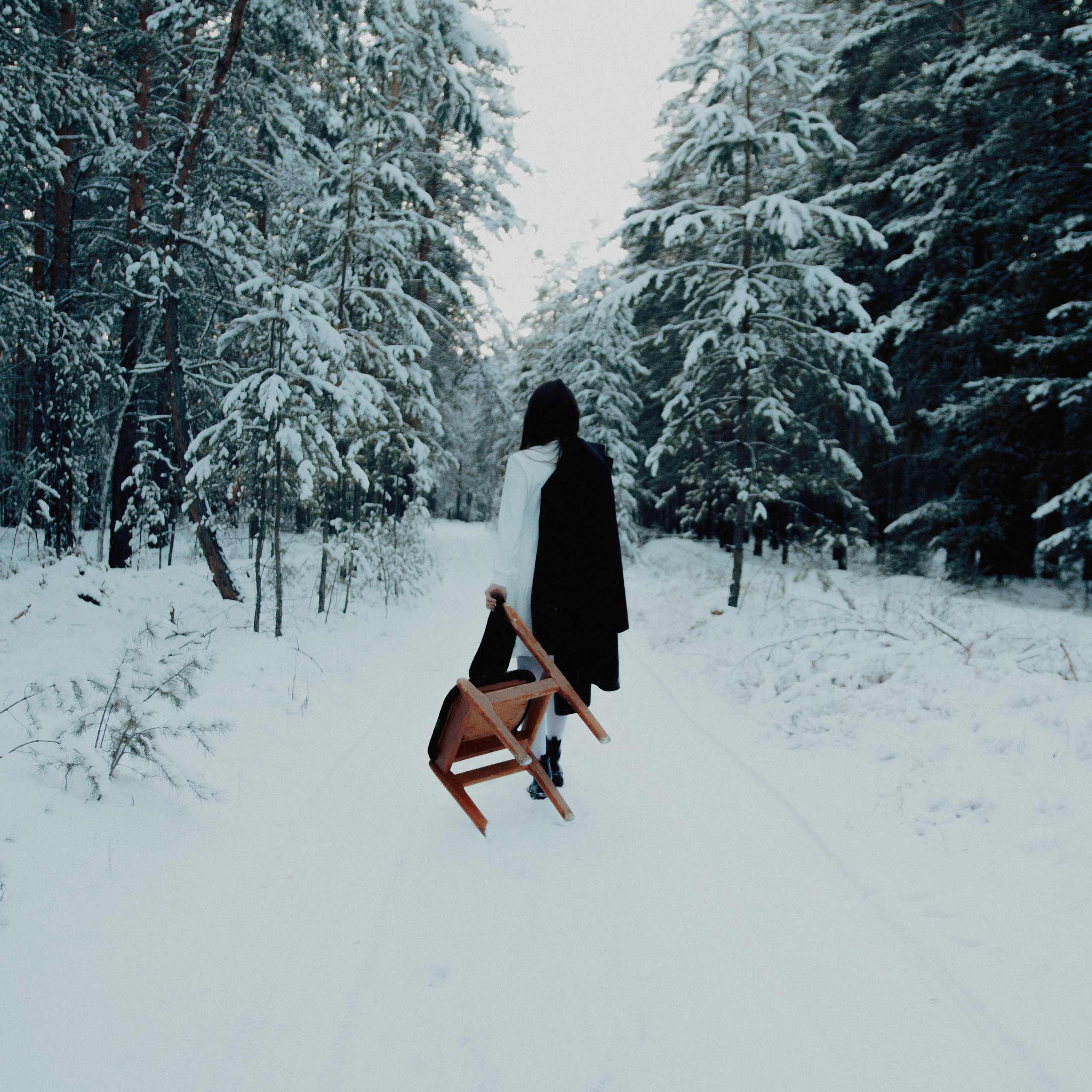 Диспрессия. Дима Климт