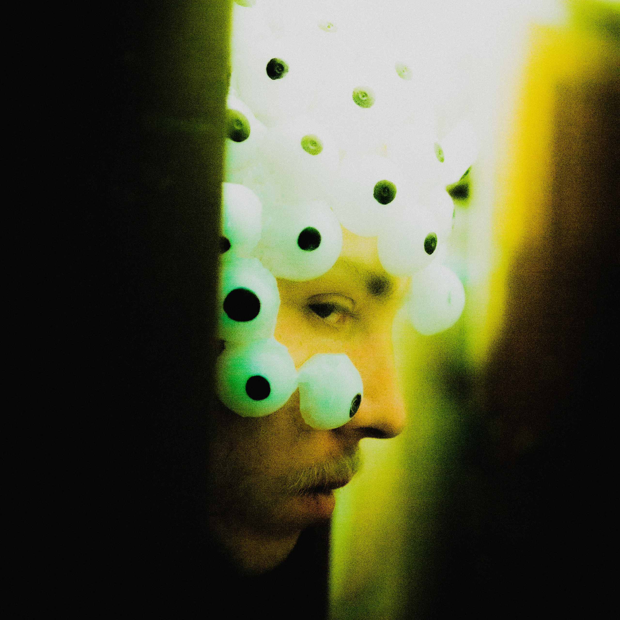 Данютины глазки. Дима Климт