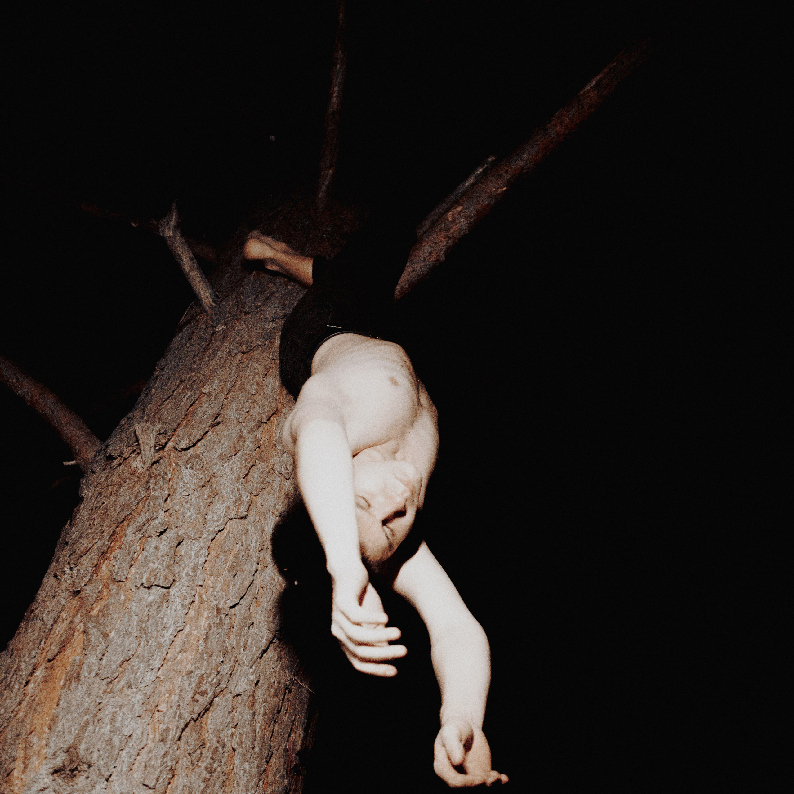 Завис. Дима Климт