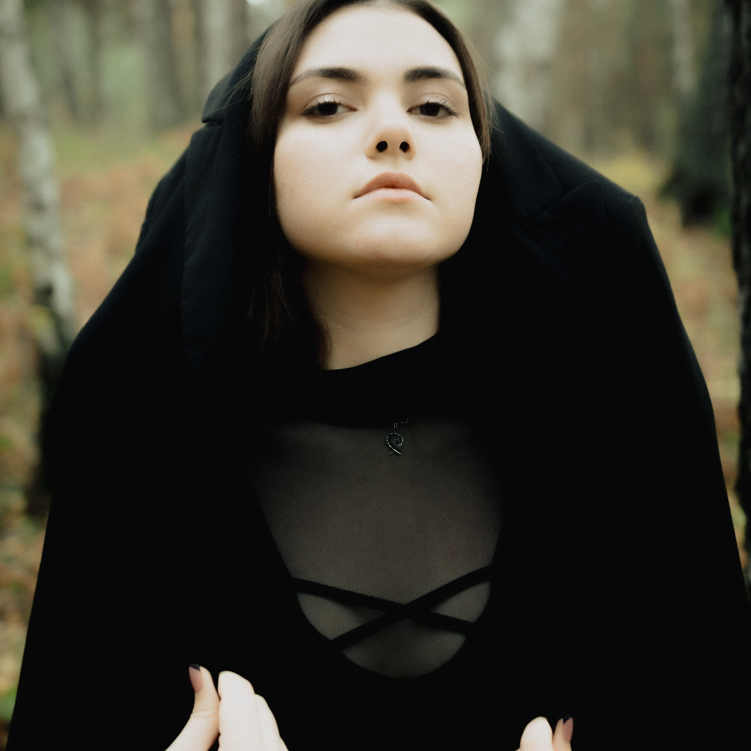 Медитатив. Дима Климт