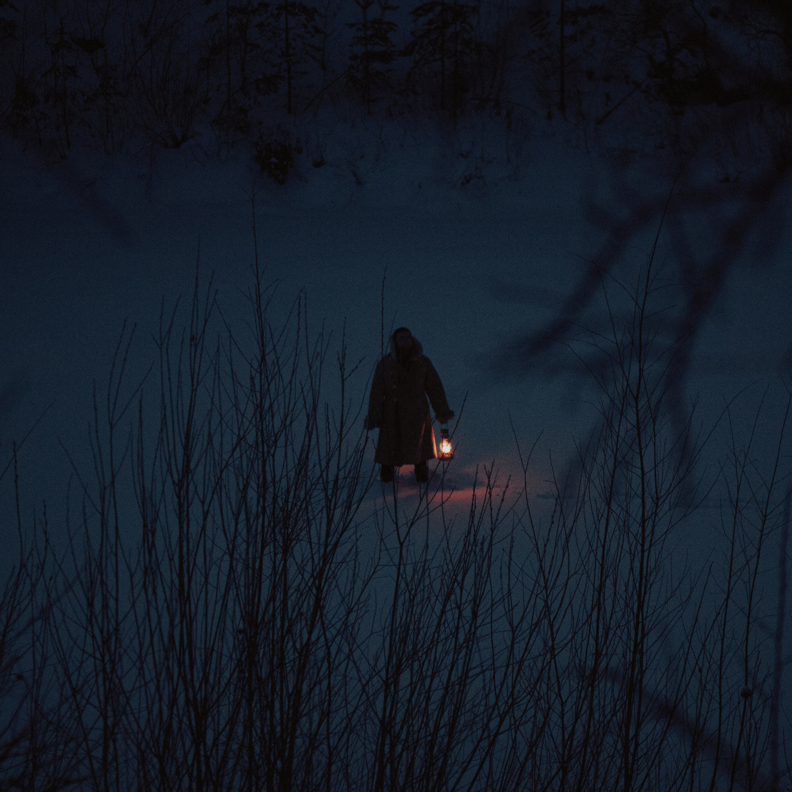 Лесник. Дима Климт