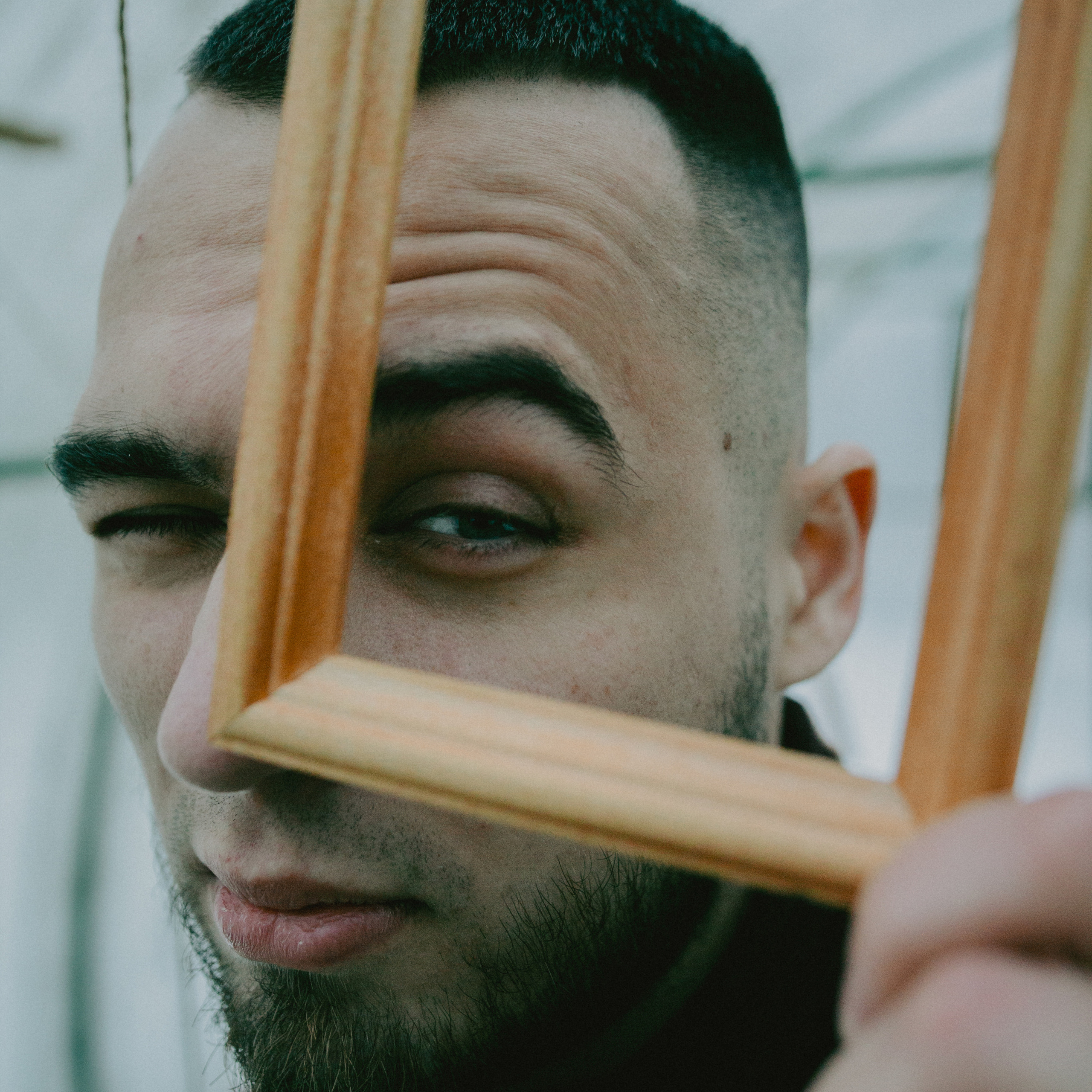 Тепличный. Дима Климт