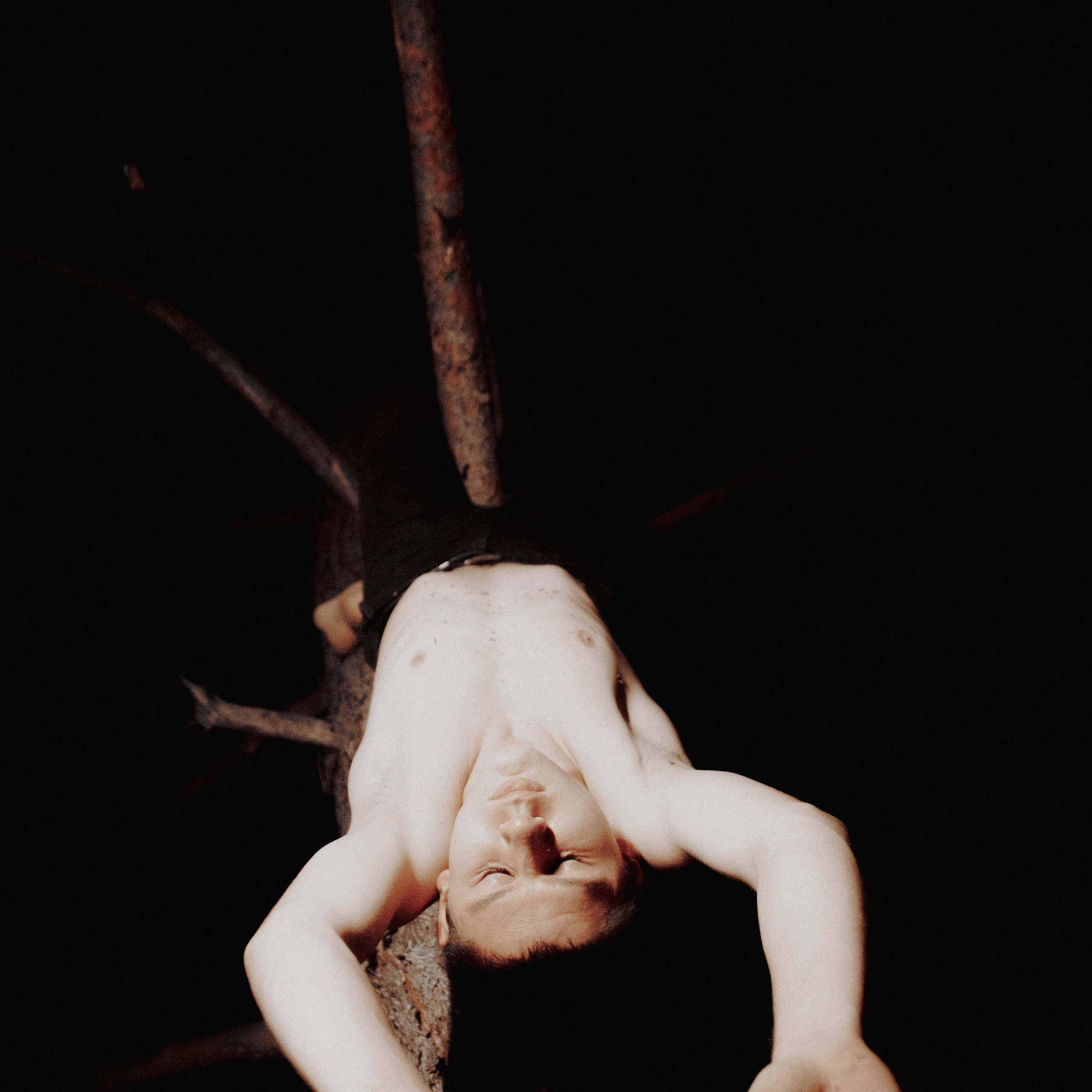 Завис. Дима Климт