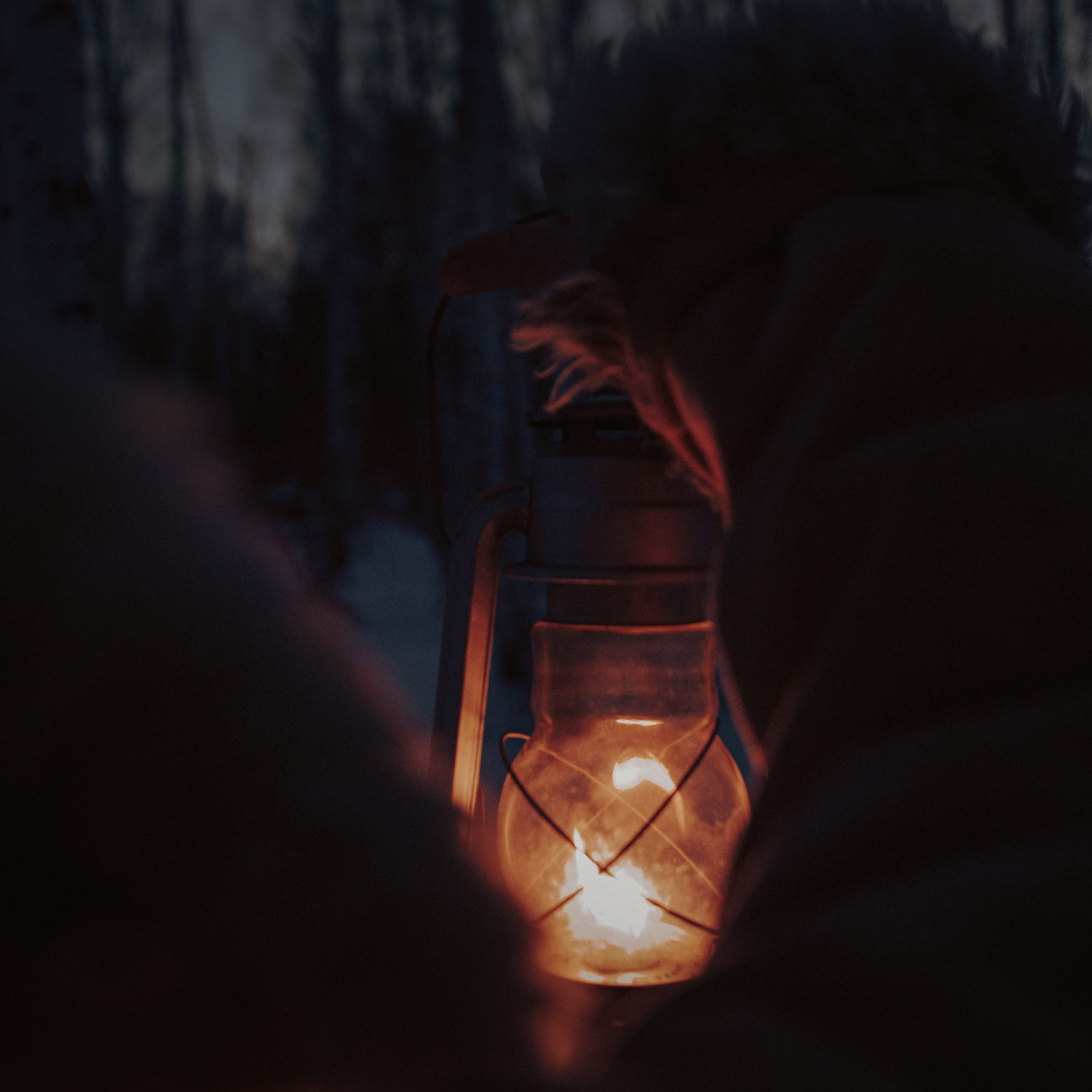 Лесник. Дима Климт