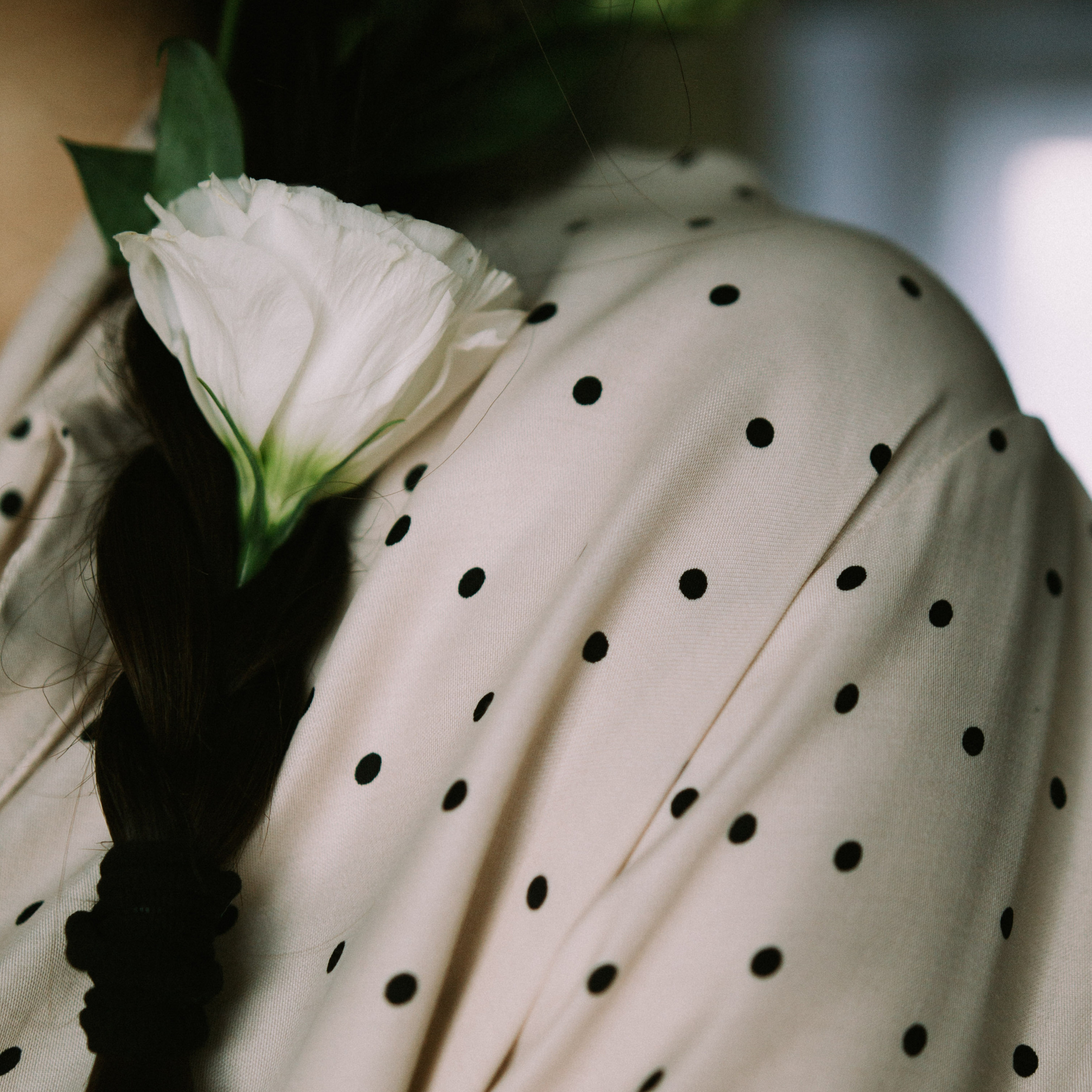 Фамильный дом. Дима Климт