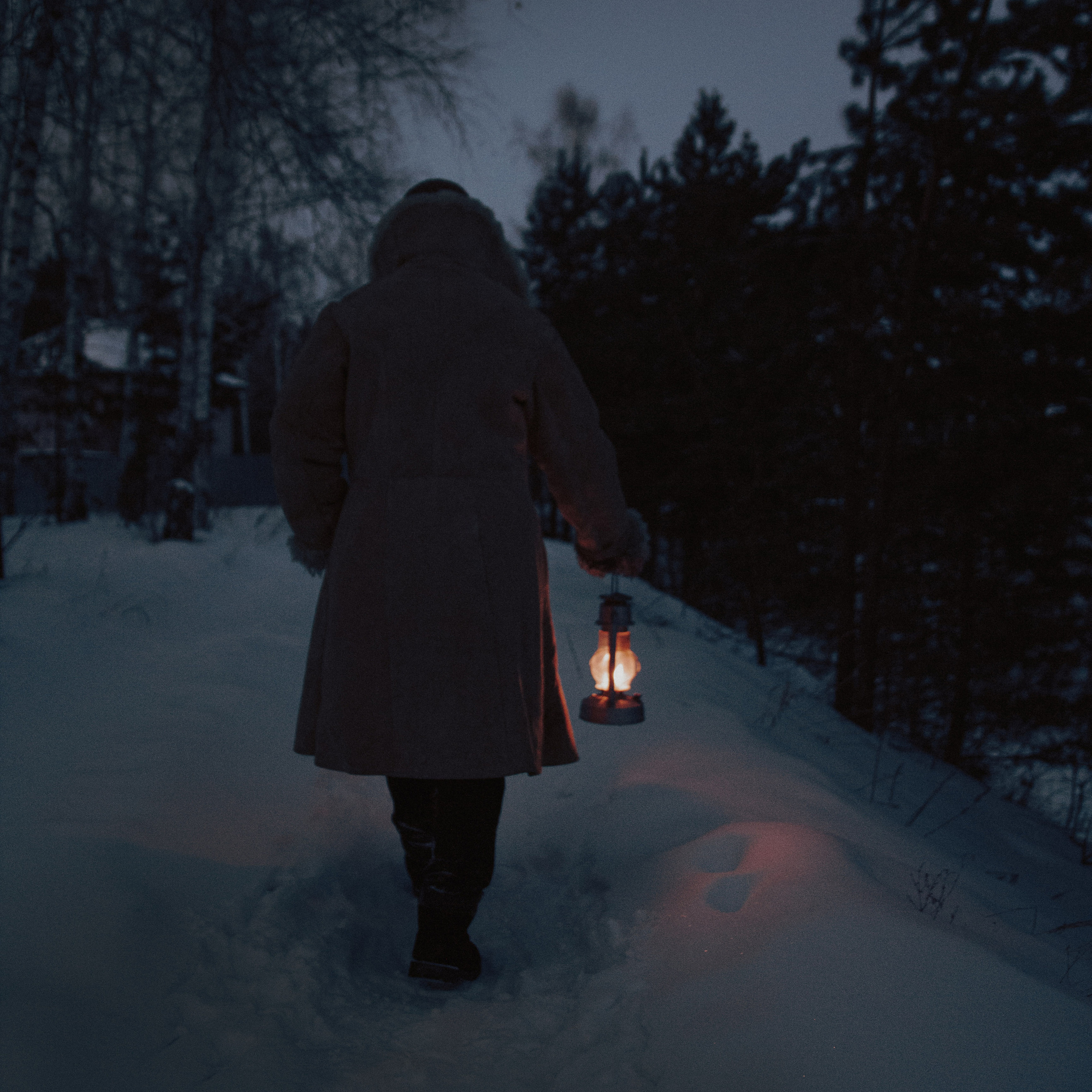 Лесник. Дима Климт