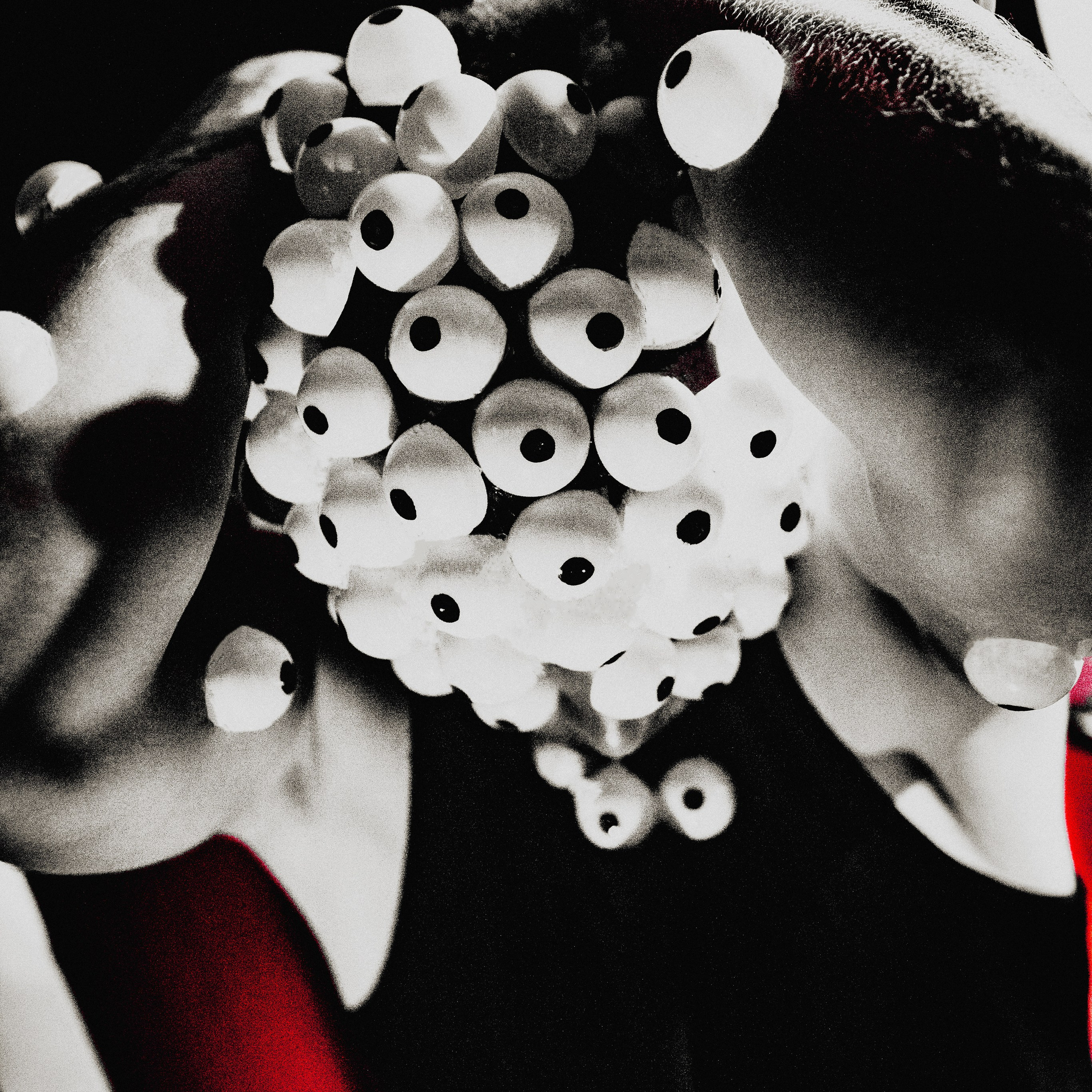 Данютины глазки