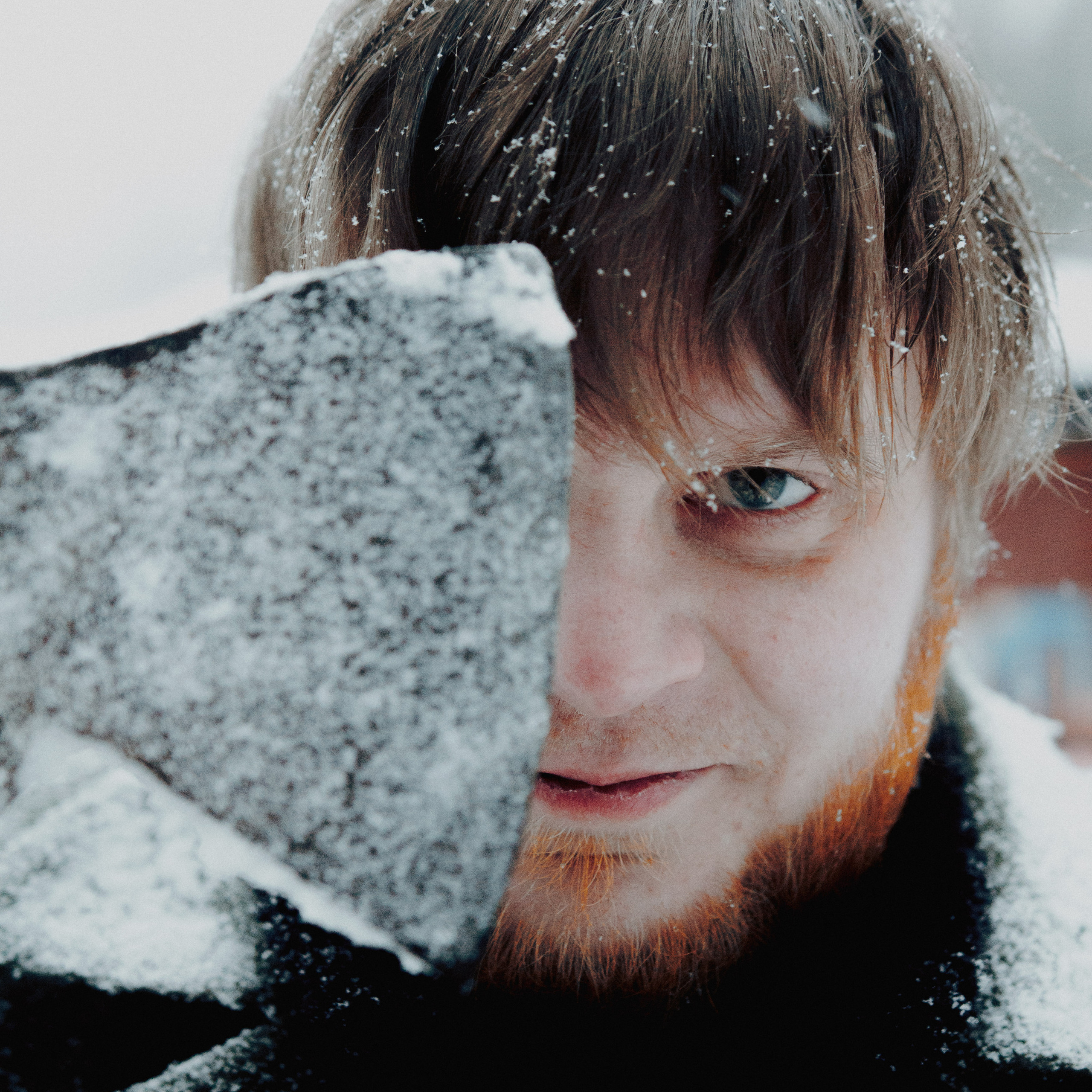 Достоевский. Дима Климт