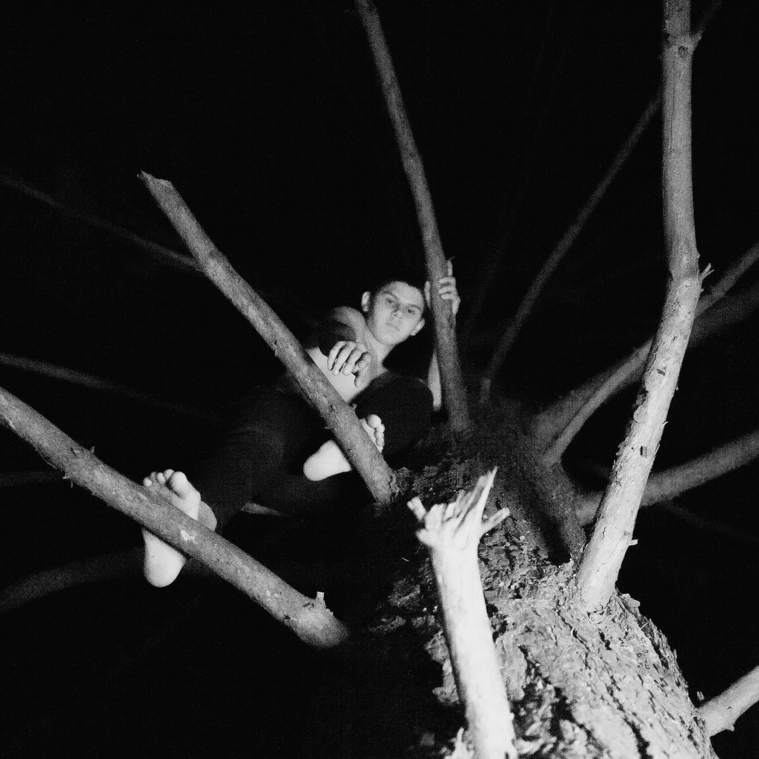 Завис. Дима Климт