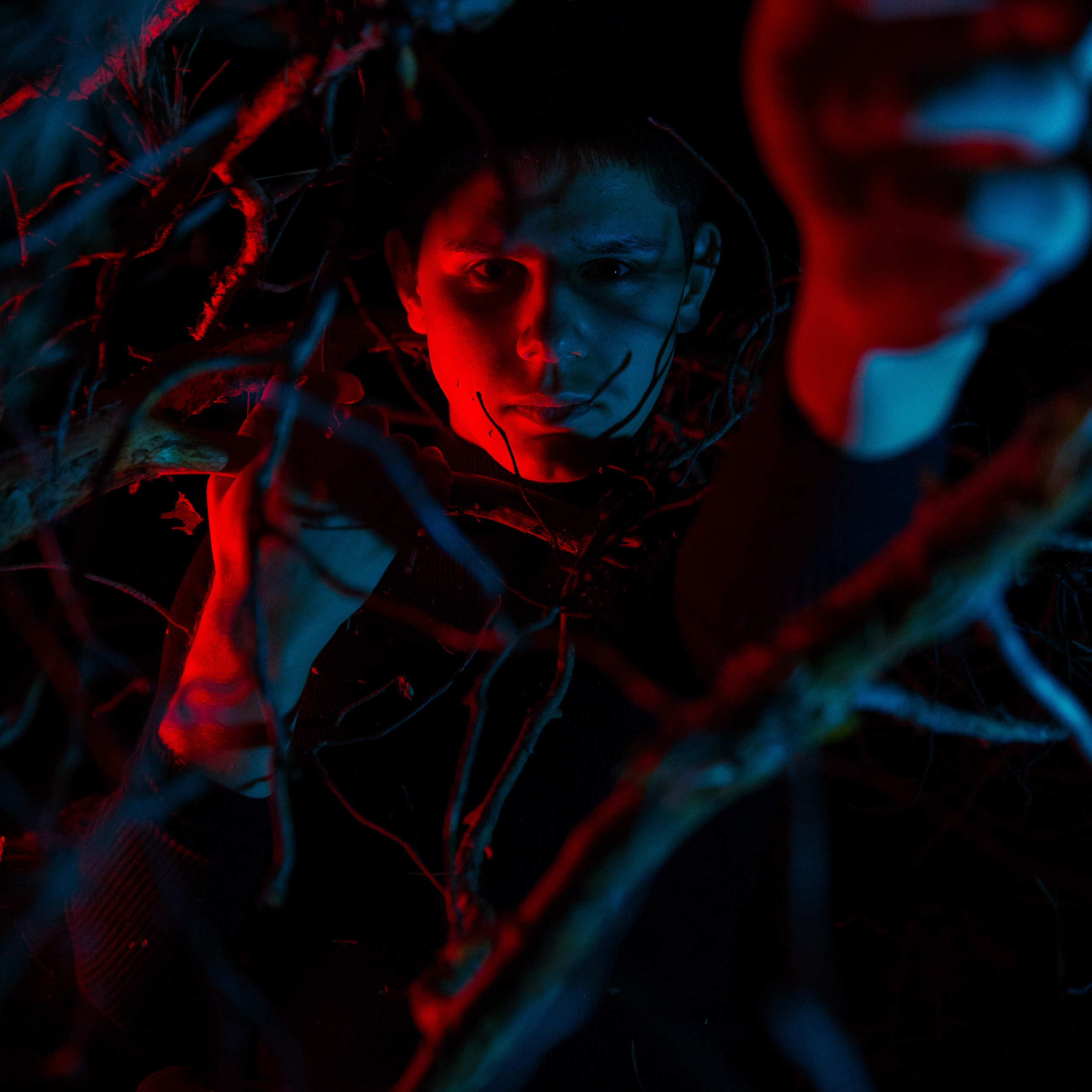 Завис. Дима Климт