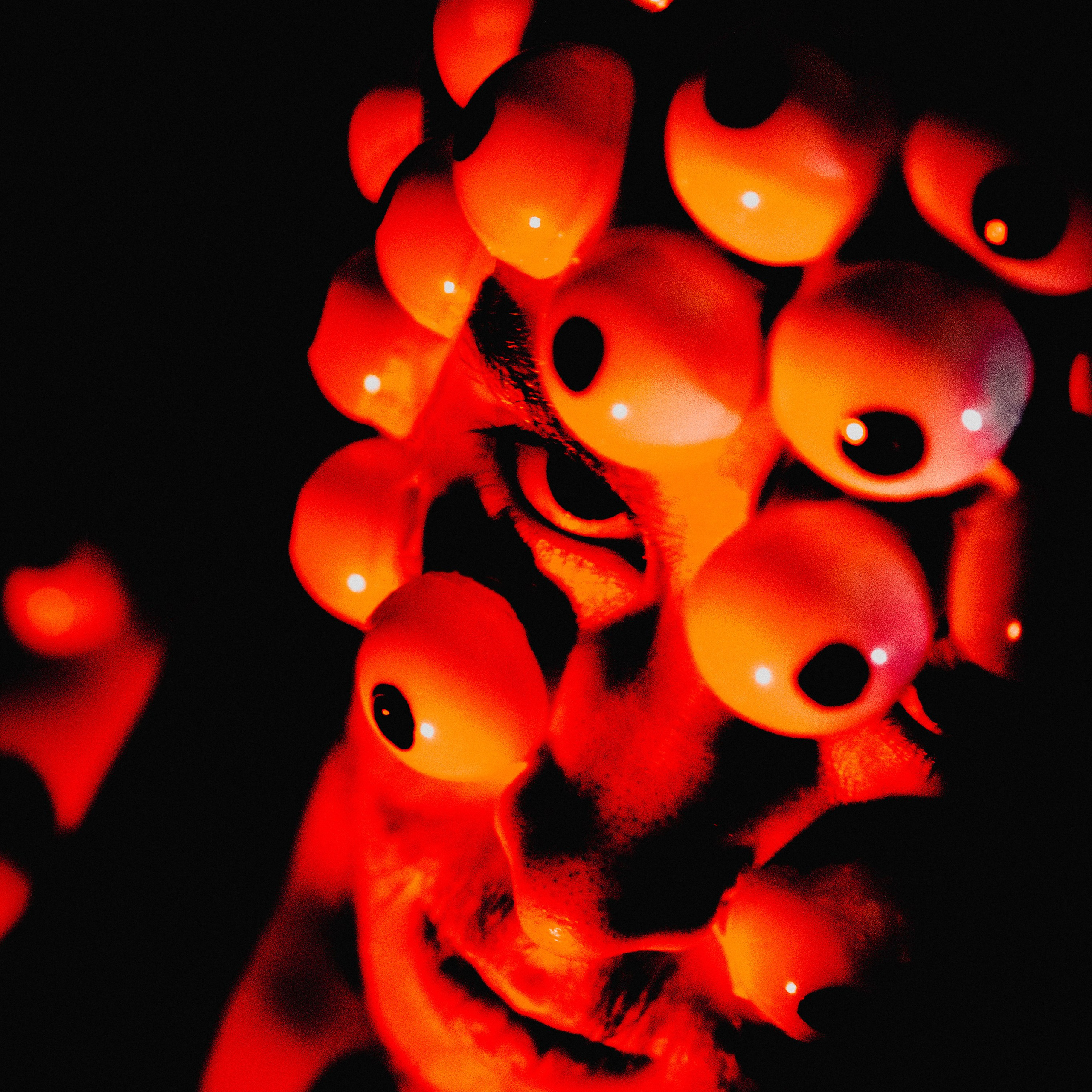 Данютины глазки. Дима Климт