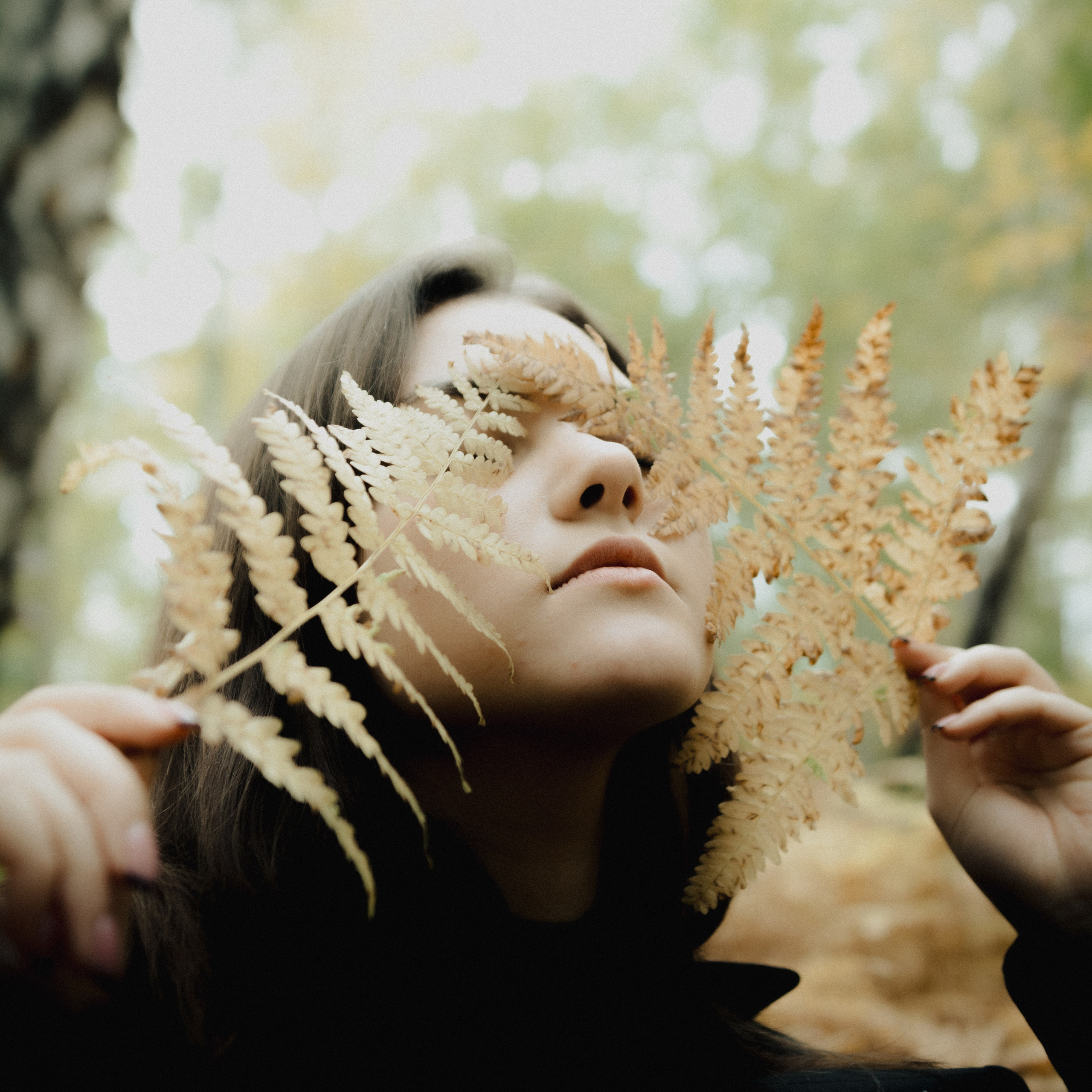 Медитатив. Дима Климт