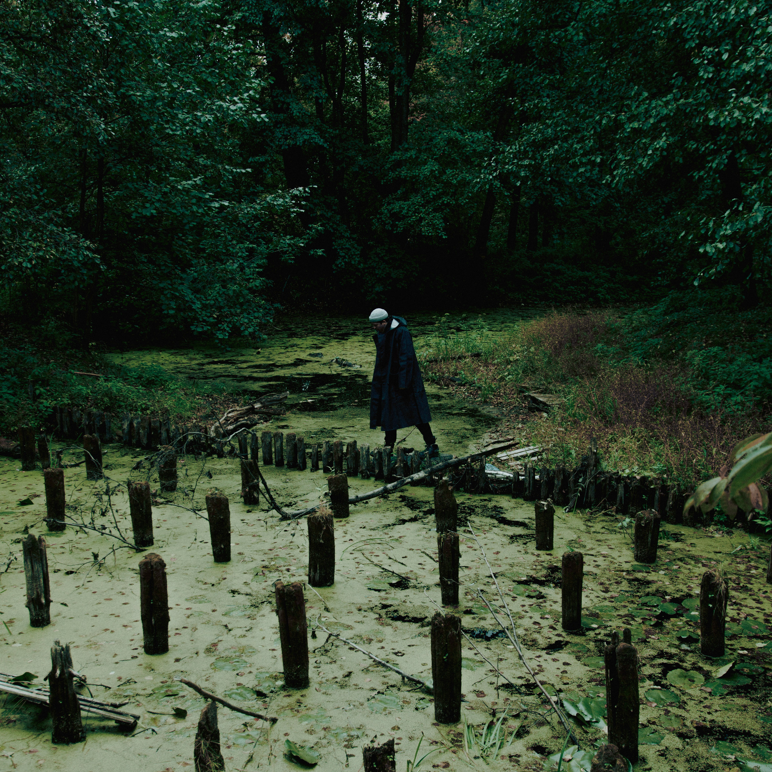 Межличностный. Дима Климт