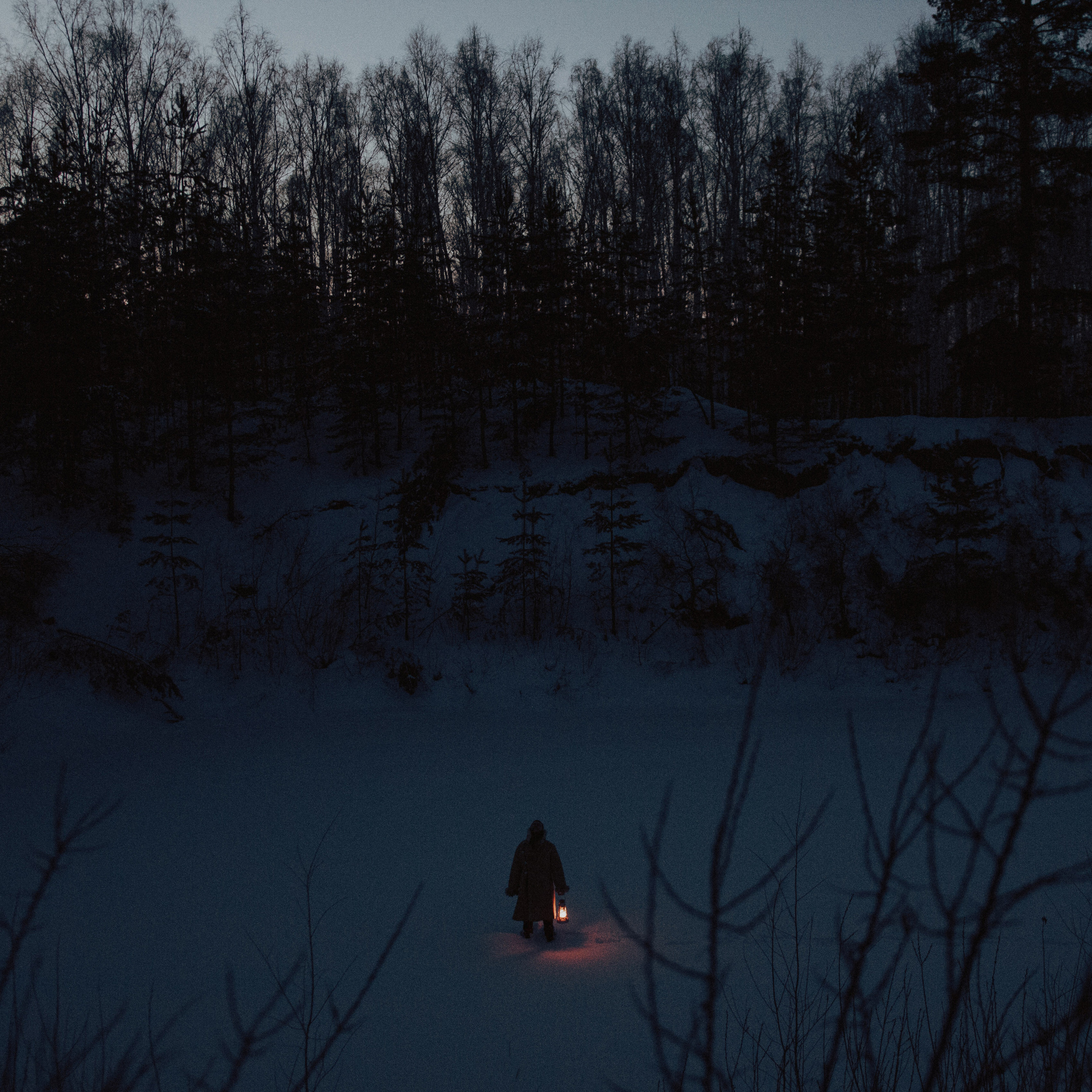 Лесник. Дима Климт