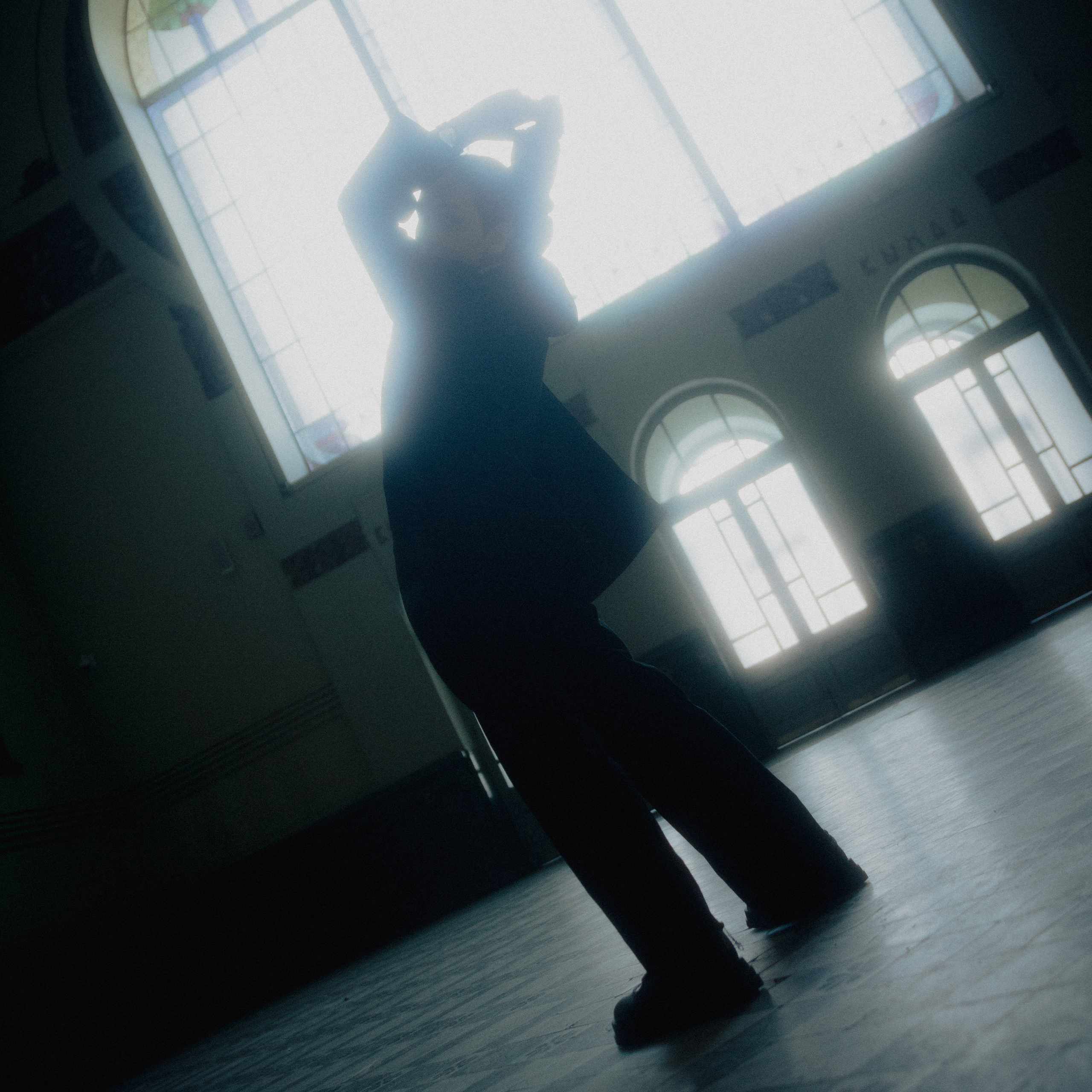 Витебский. Дима Климт