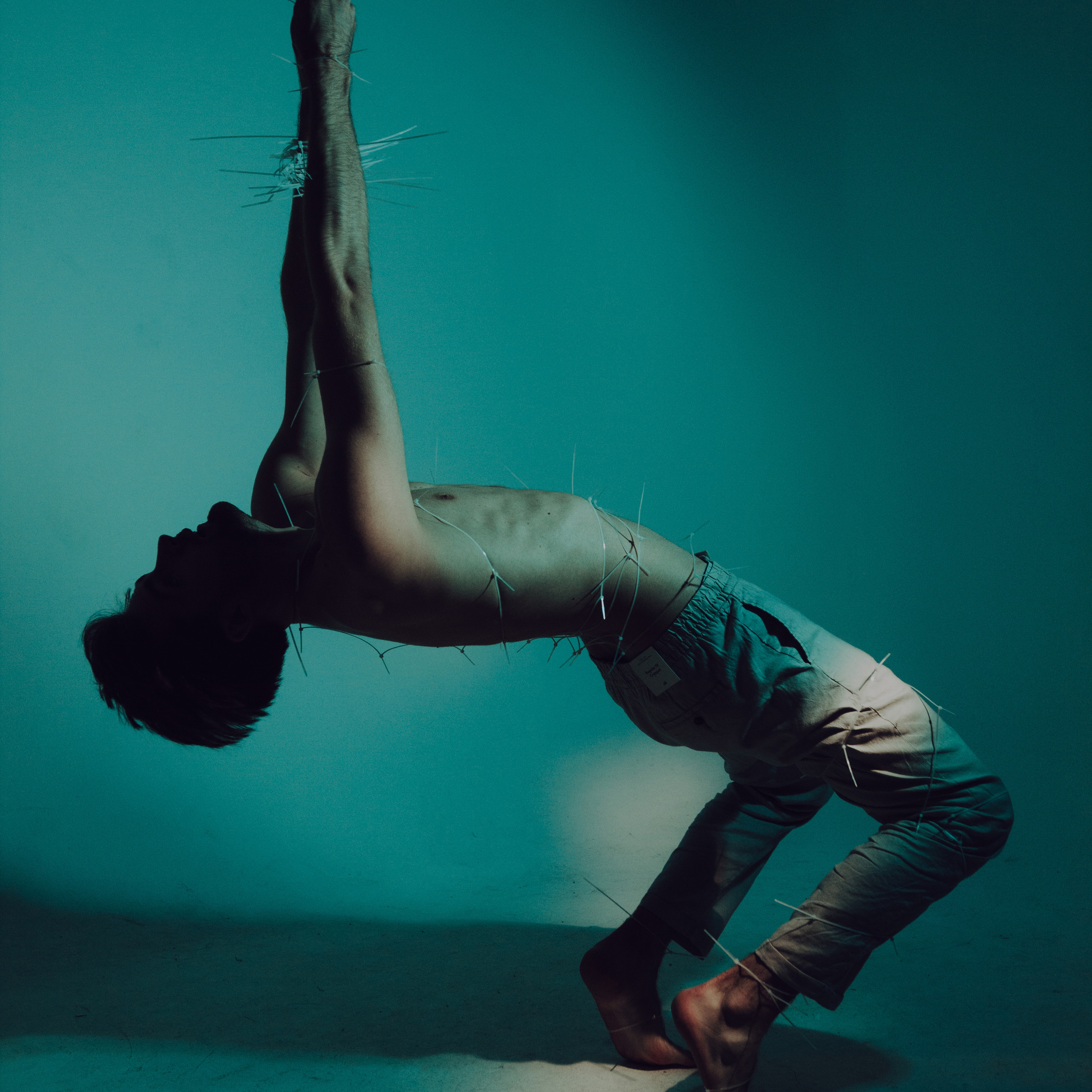 Затяни. Дима Климт