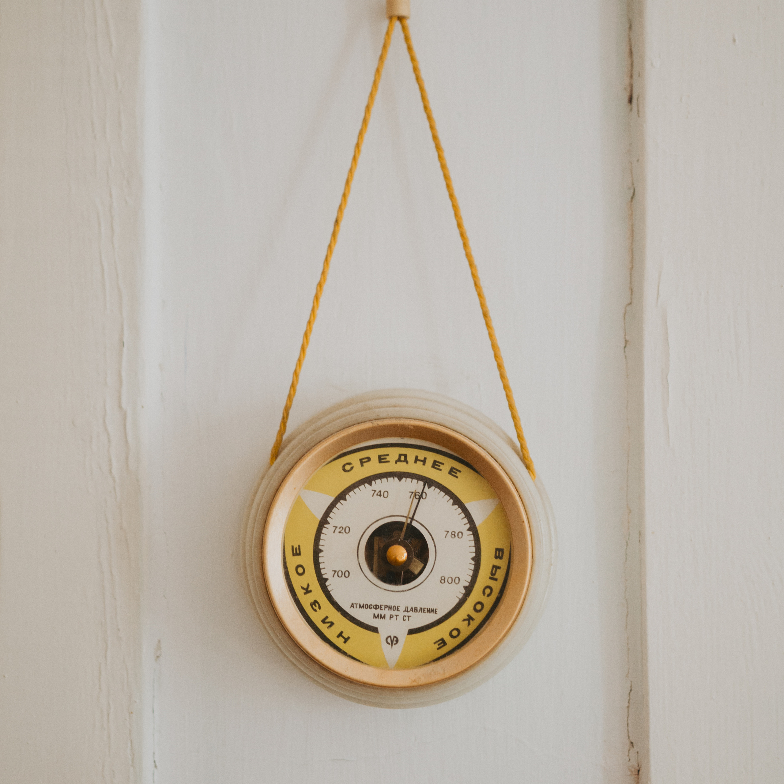 Господин травников. Дима Климт