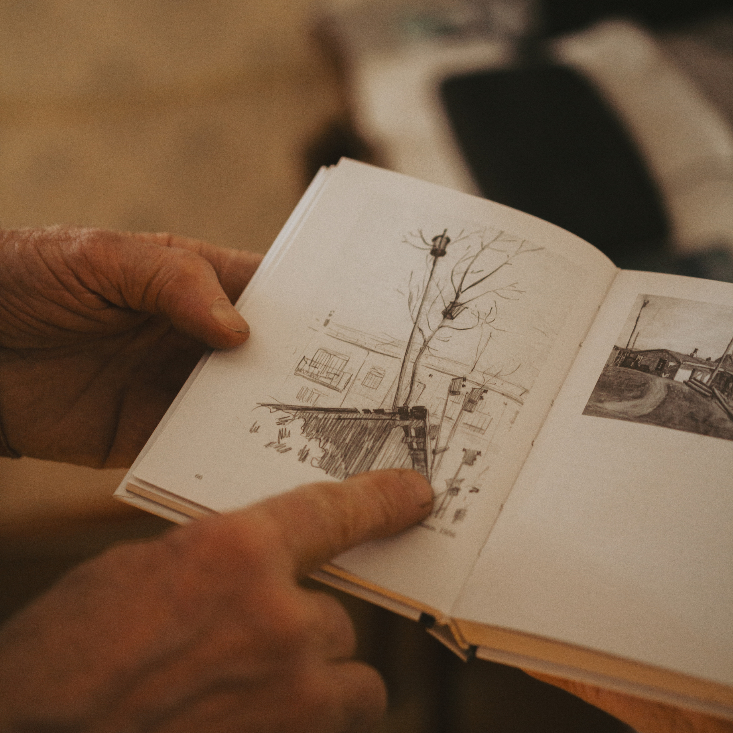 Господин травников. Дима Климт