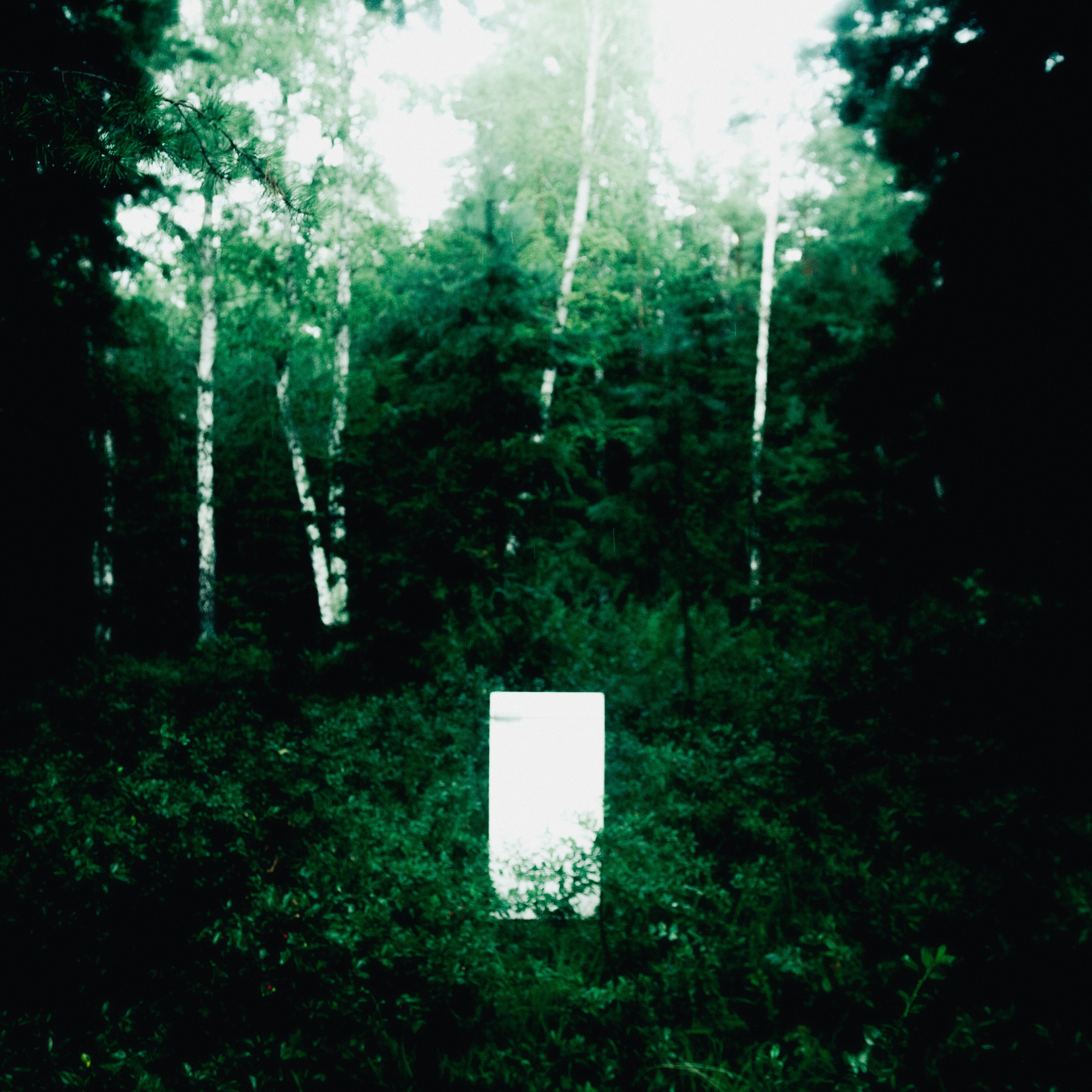 Под дождем. Дима Климт