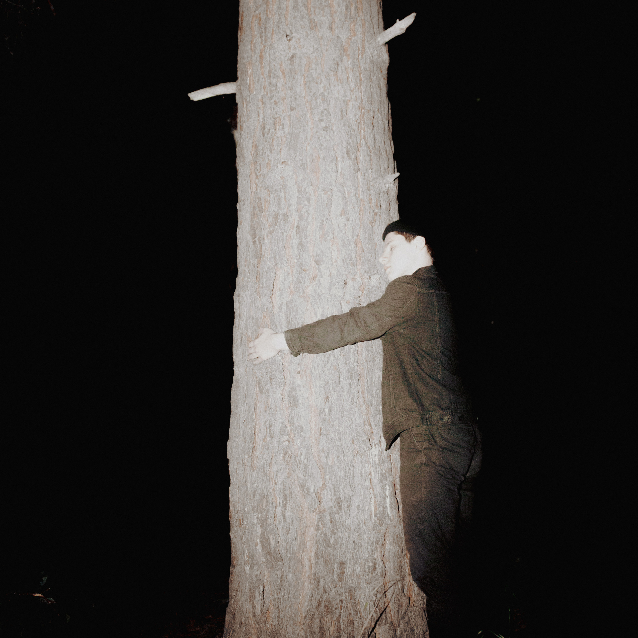 Завис. Дима Климт