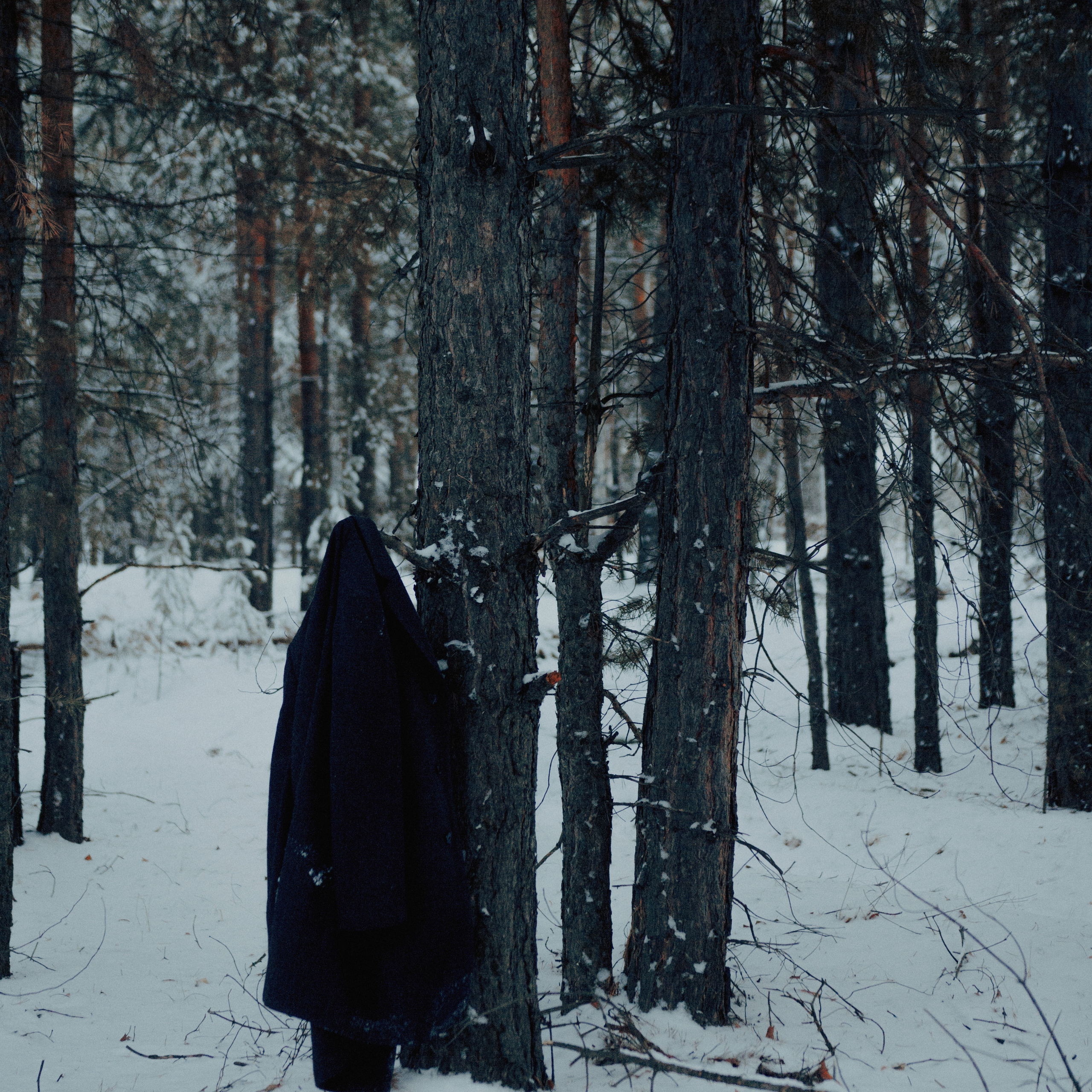 Диспрессия. Дима Климт