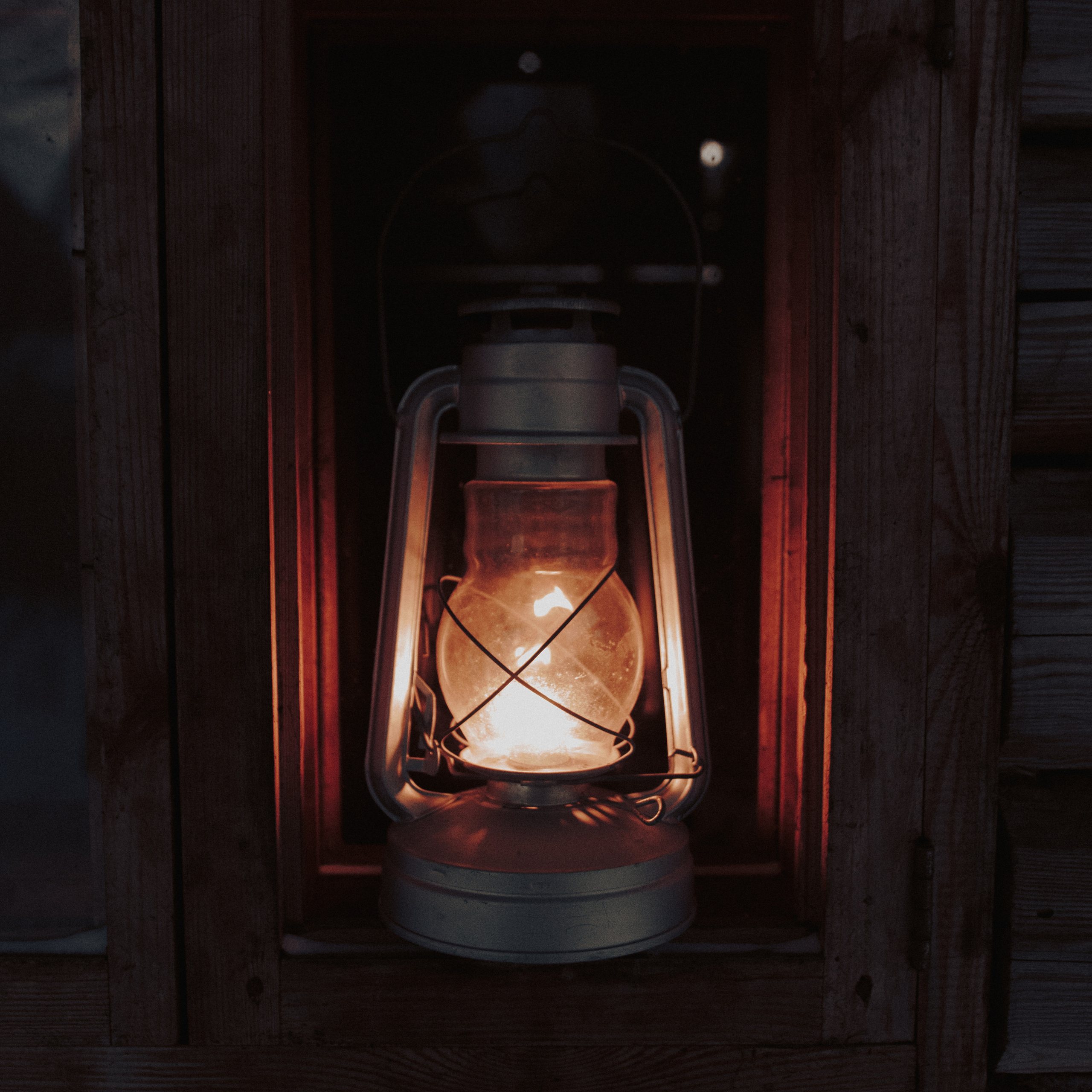 Лесник. Дима Климт