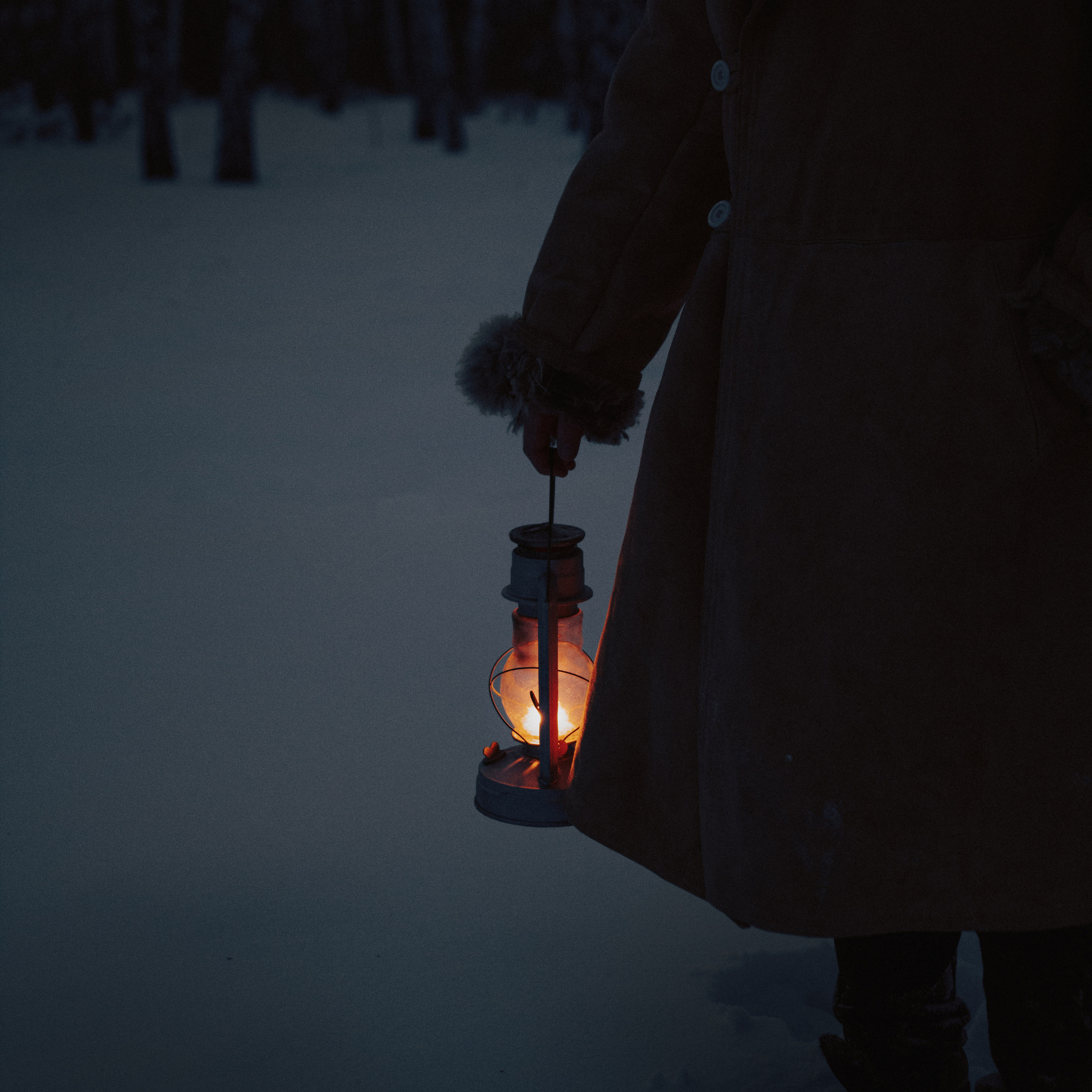 Лесник. Дима Климт