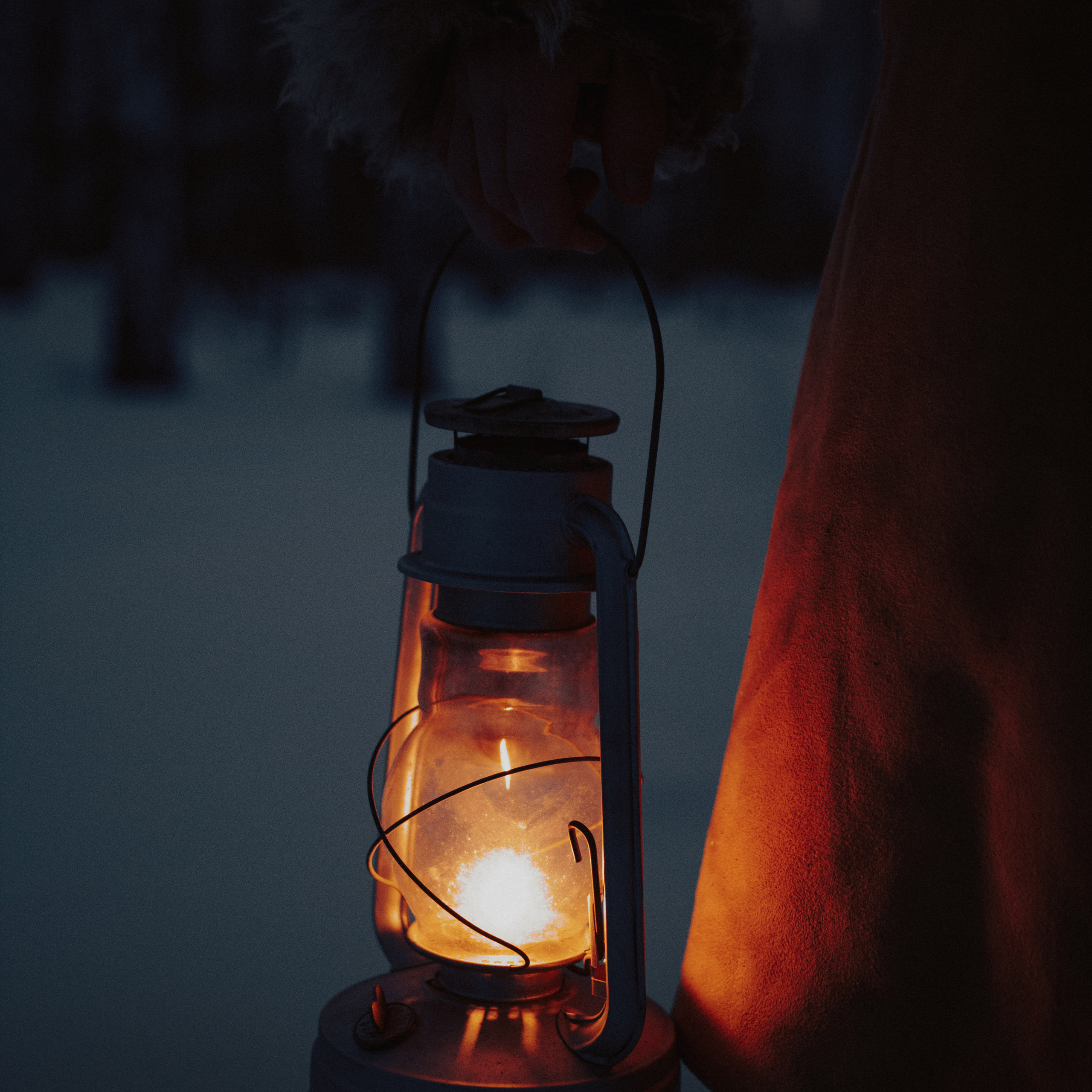 Лесник. Дима Климт