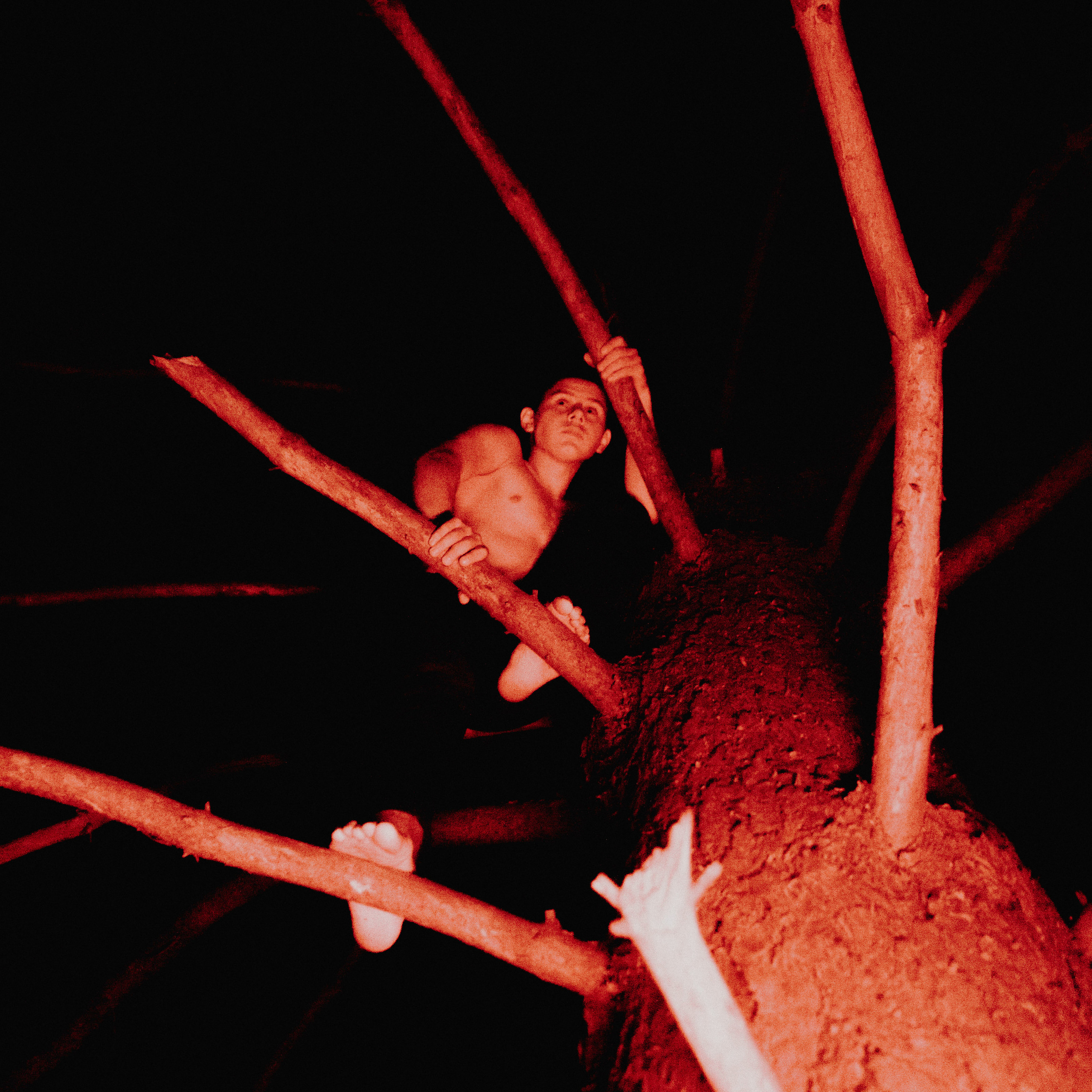 Завис. Дима Климт