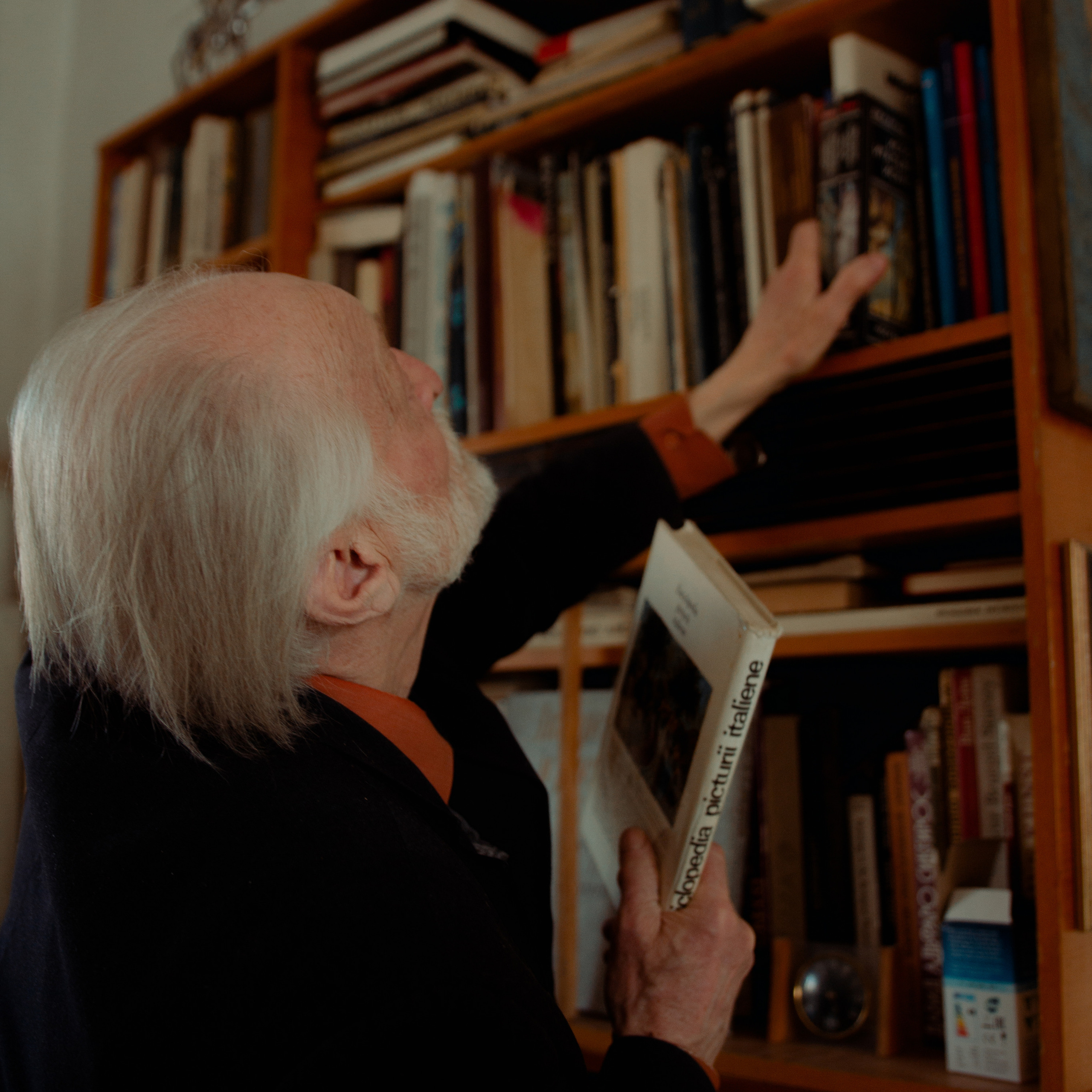 Господин травников. Дима Климт