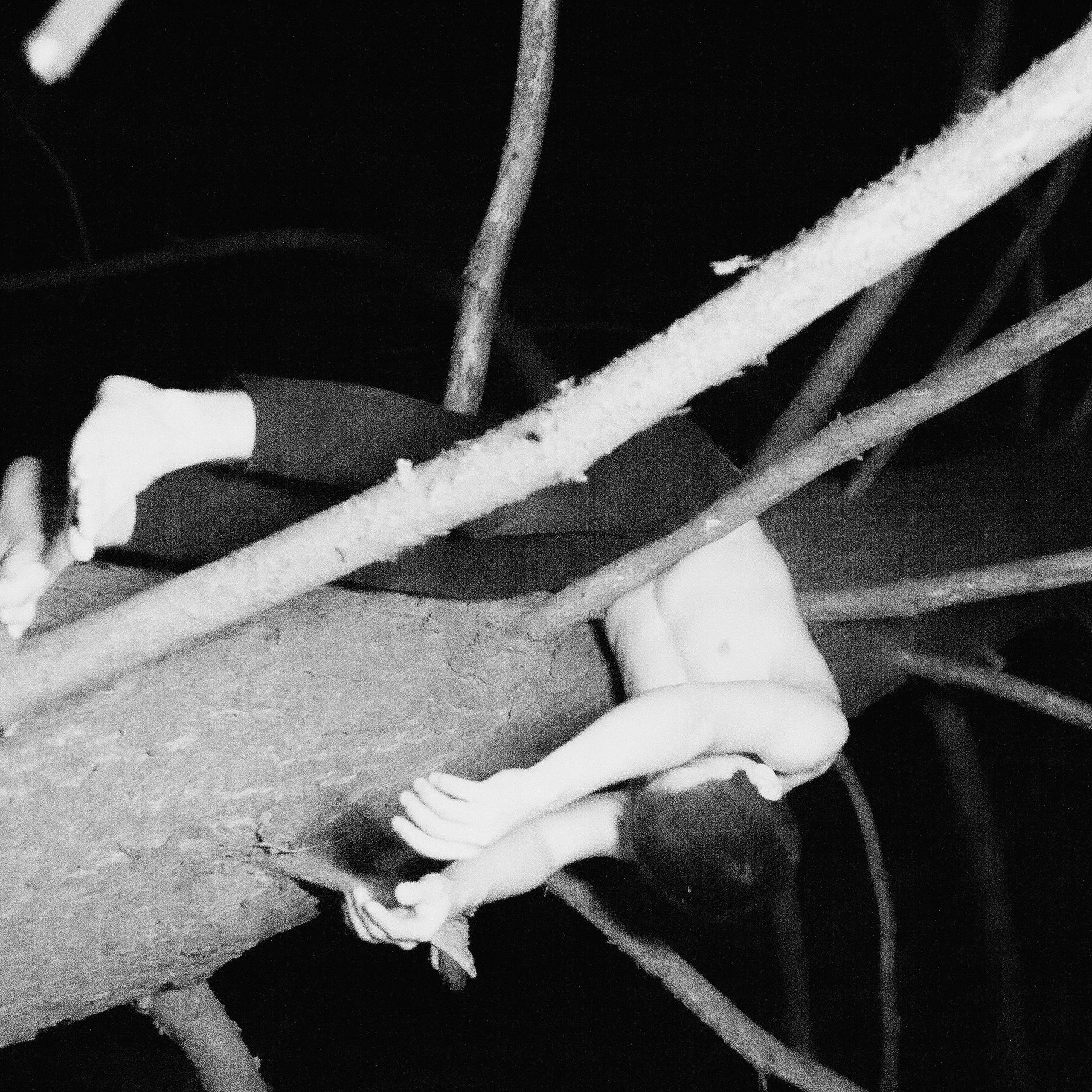 Завис. Дима Климт