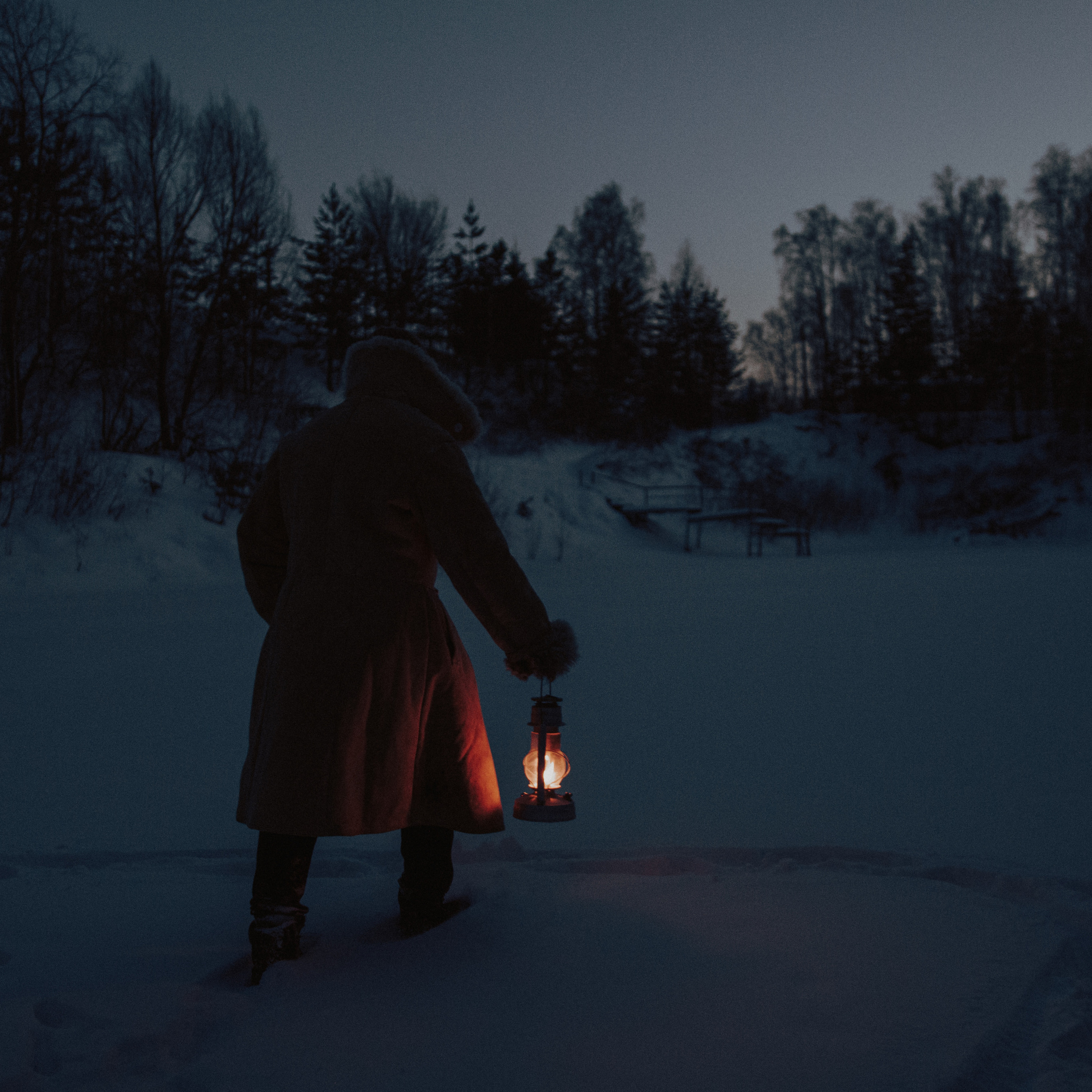 Лесник. Дима Климт