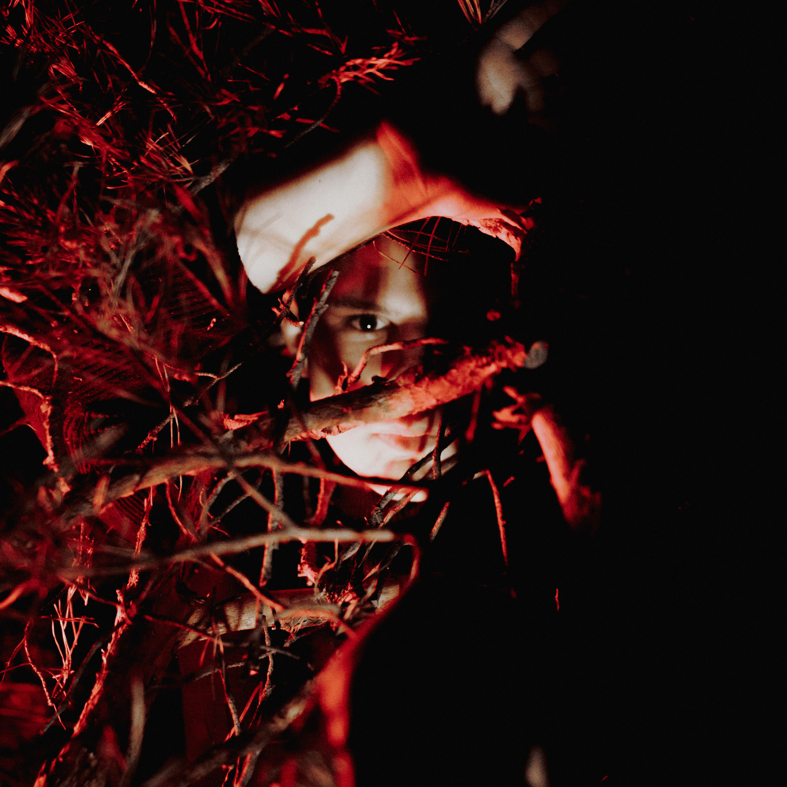 Завис. Дима Климт