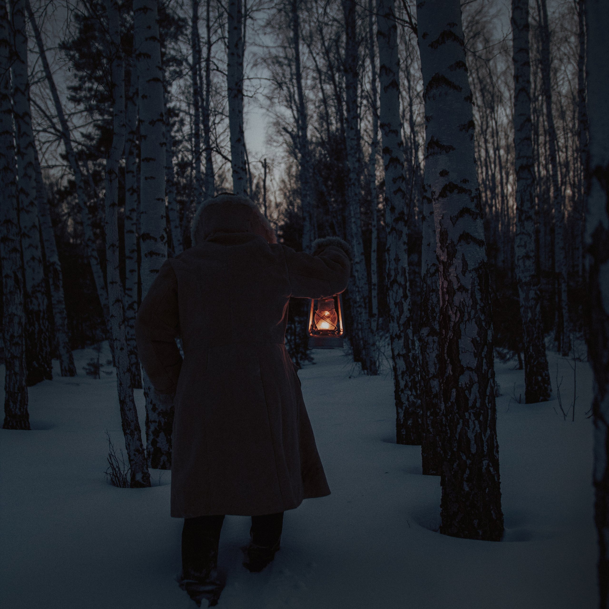 Лесник. Дима Климт