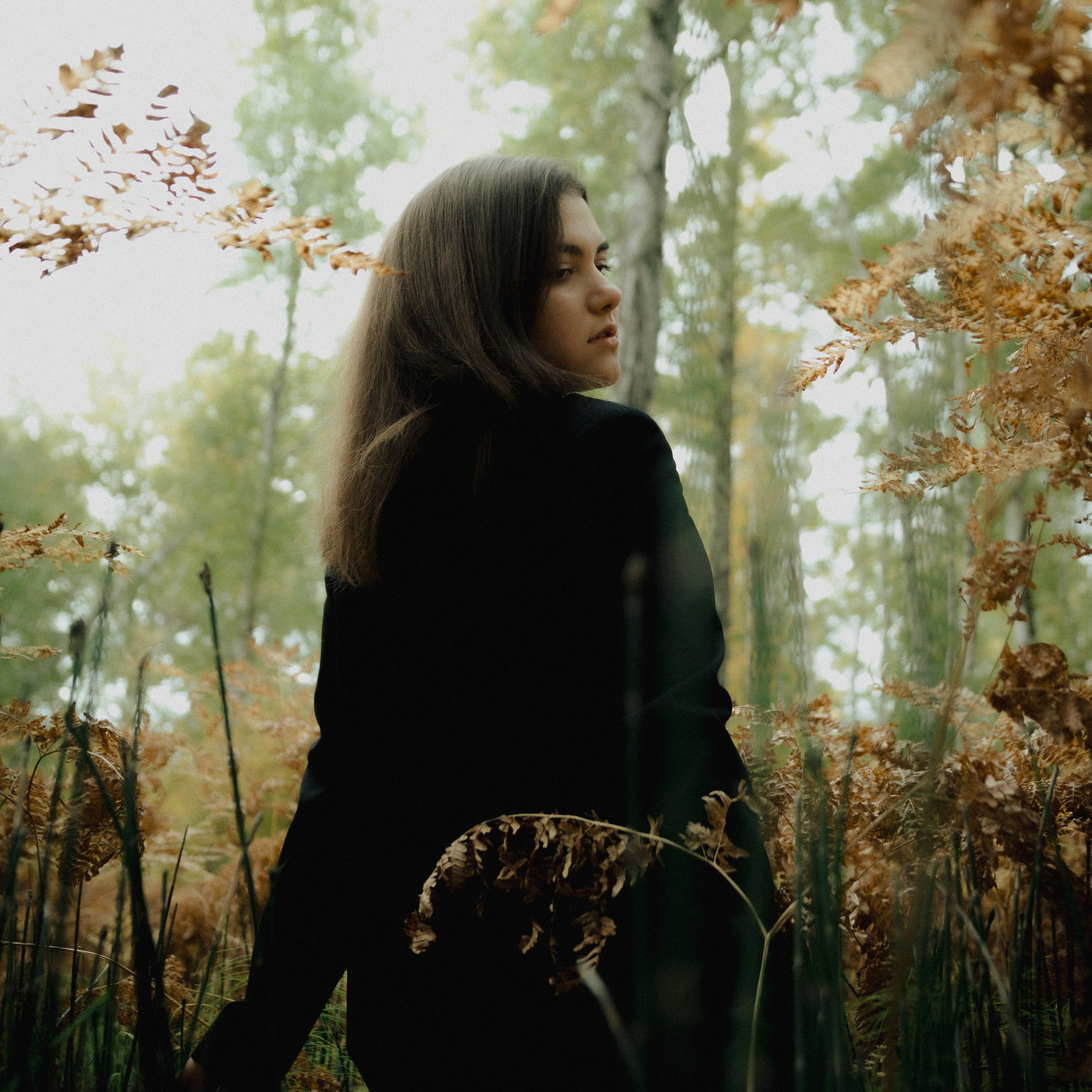 Медитатив. Дима Климт