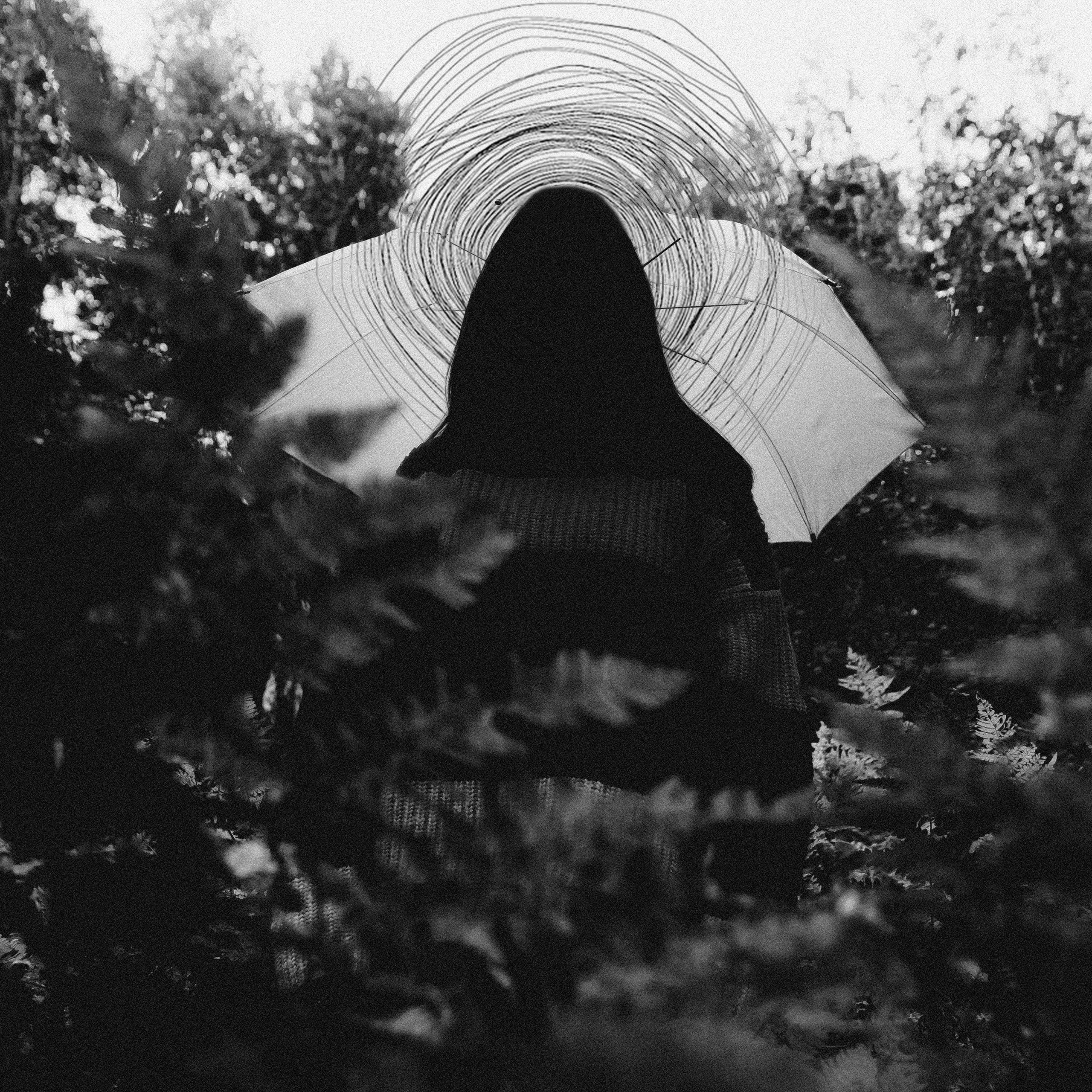 Медитатив. Дима Климт