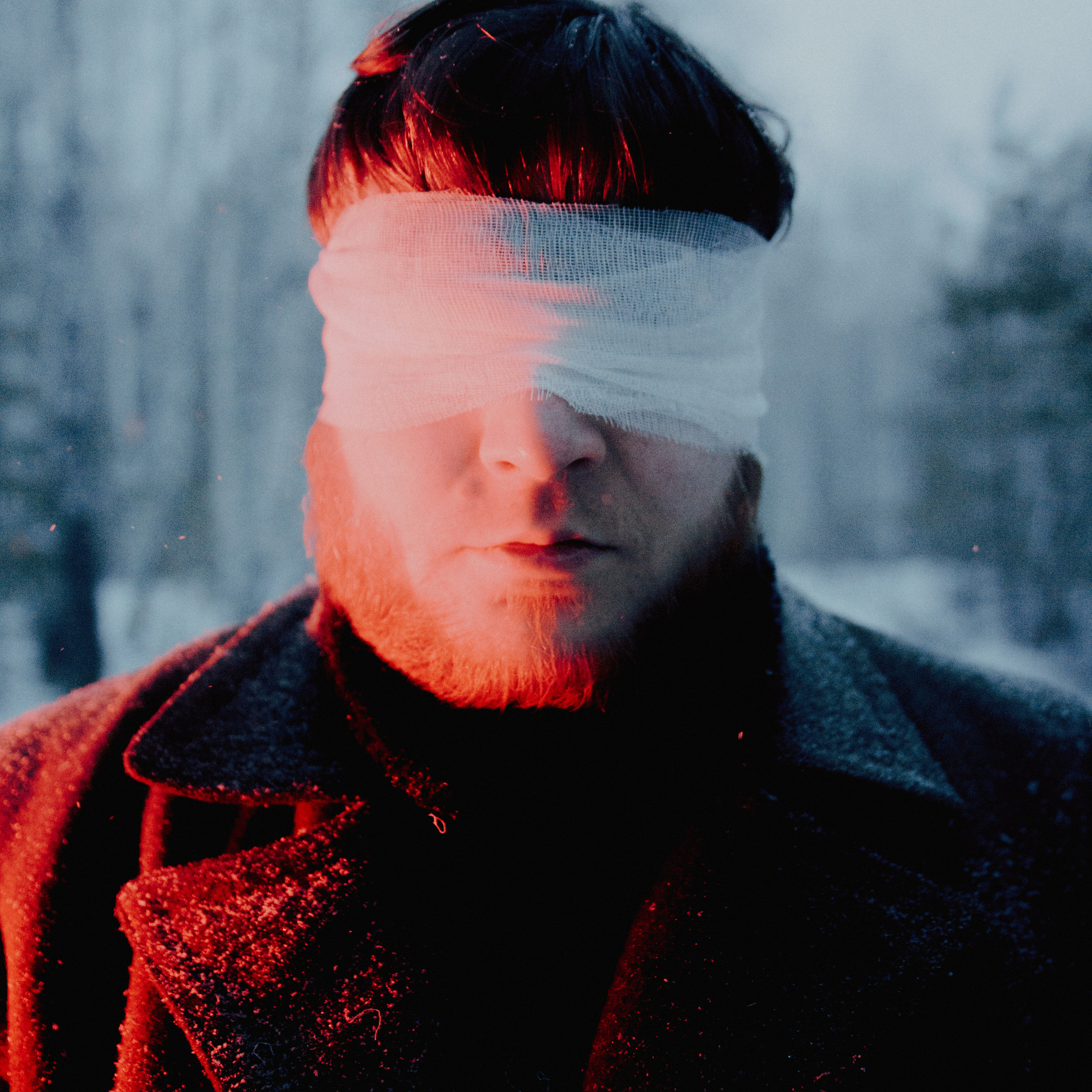 Достоевский. Дима Климт