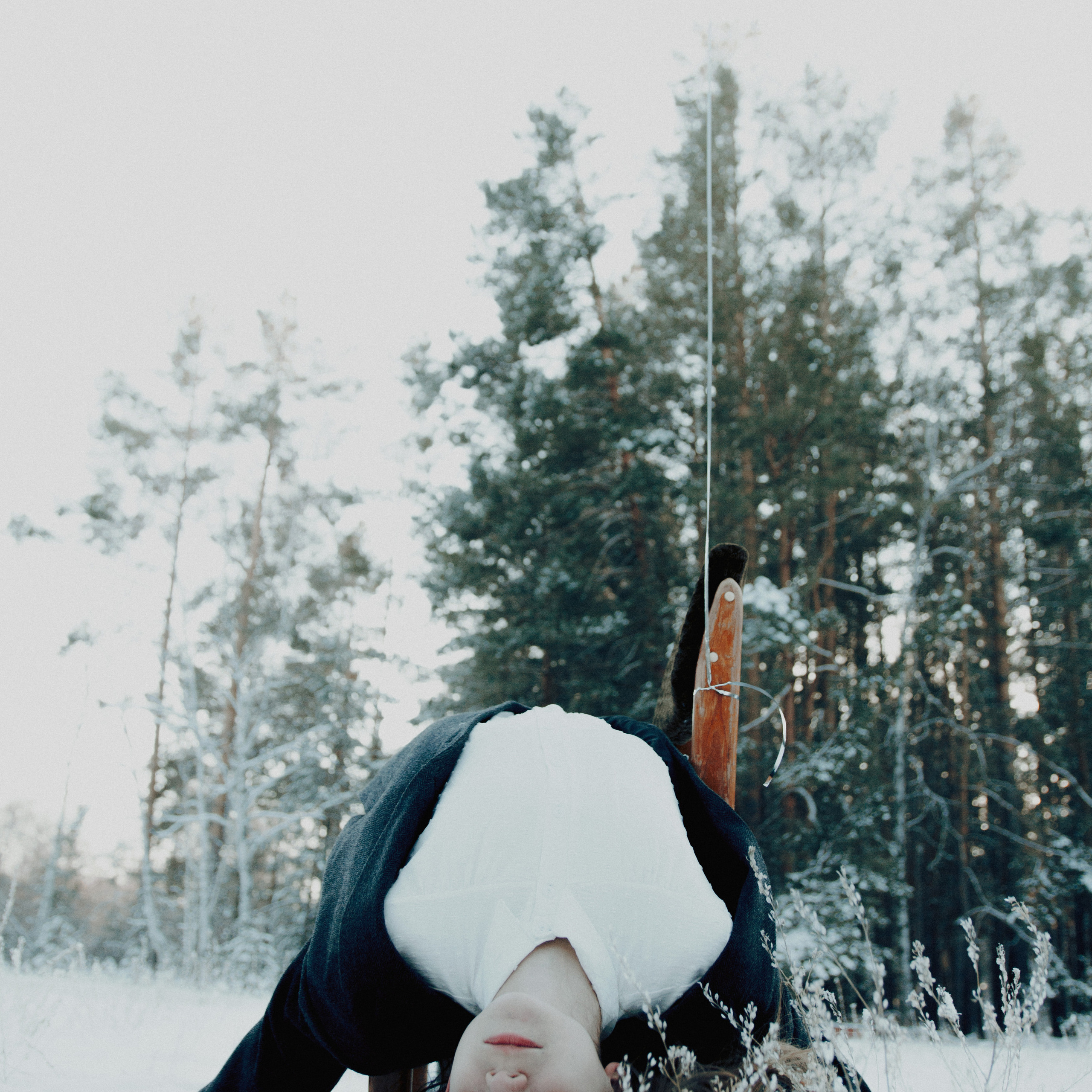 Диспрессия. Дима Климт