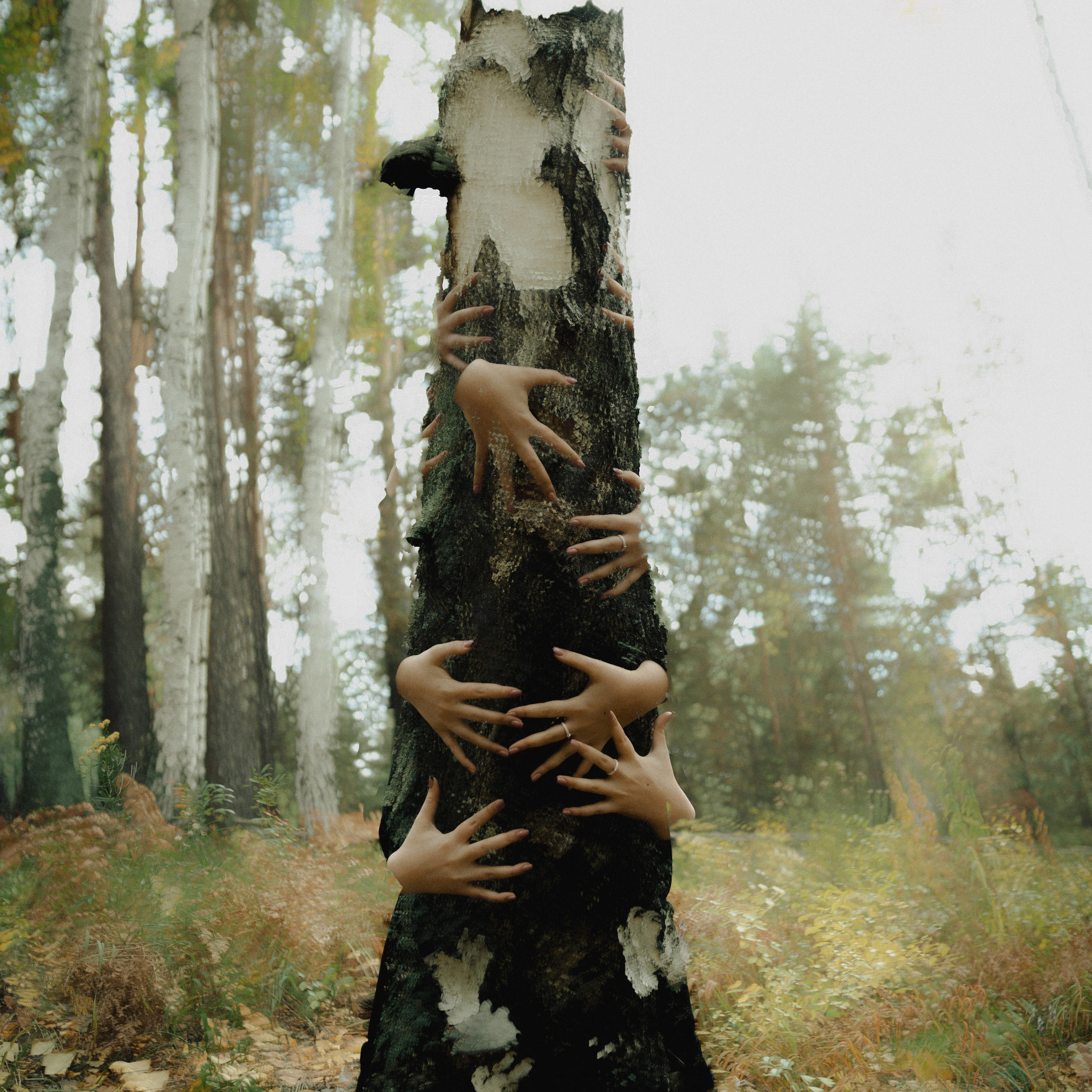 Медитатив. Дима Климт