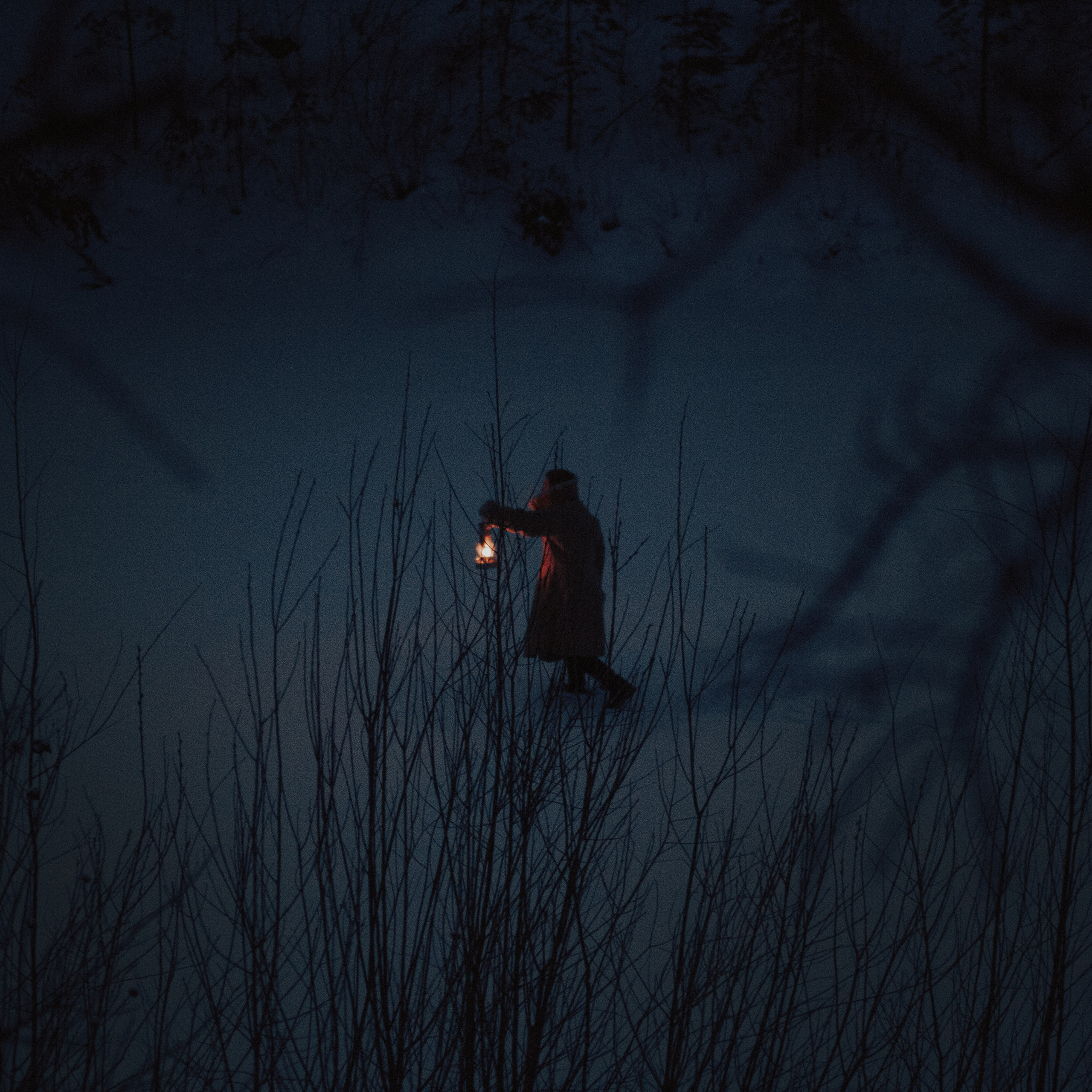 Лесник. Дима Климт