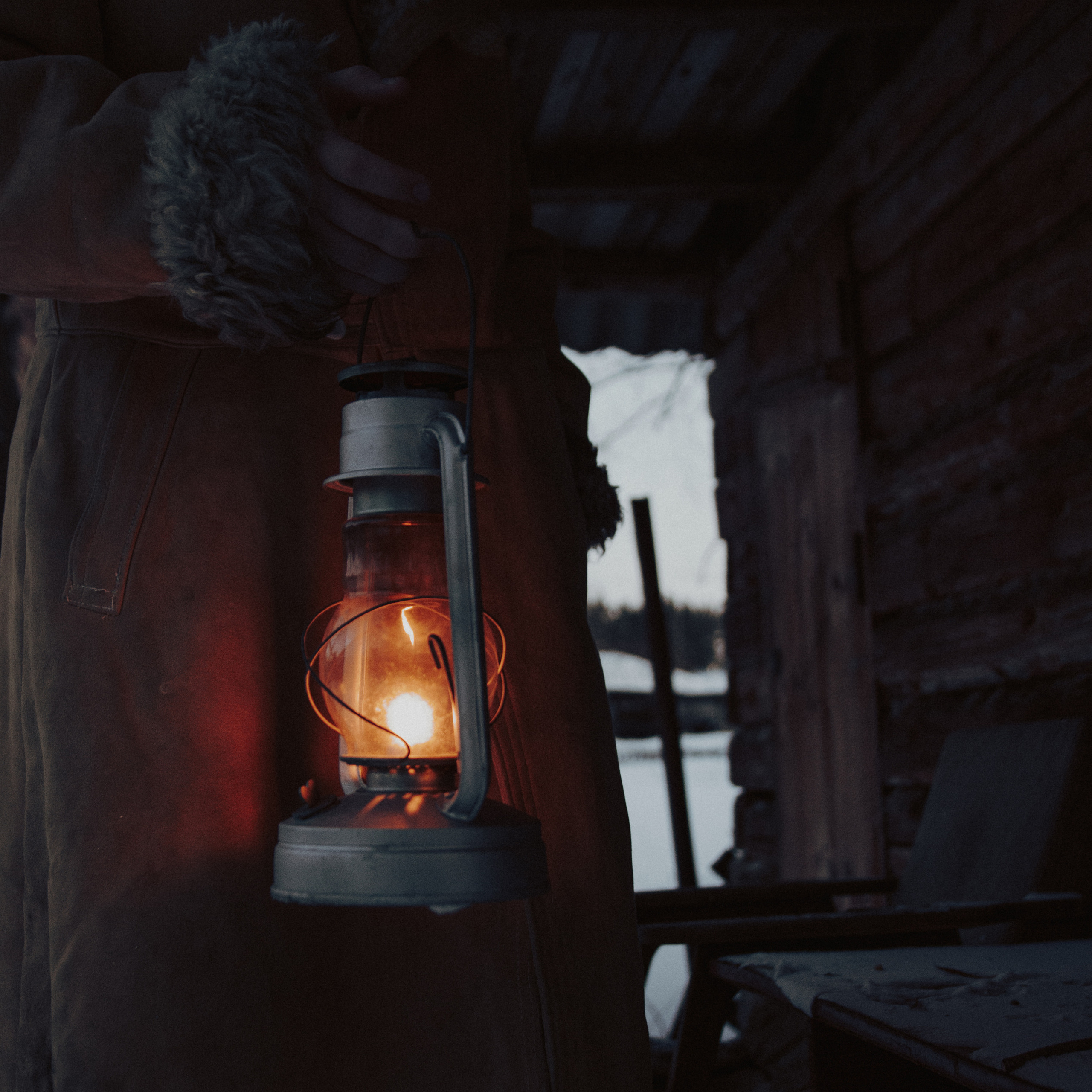 Лесник. Дима Климт