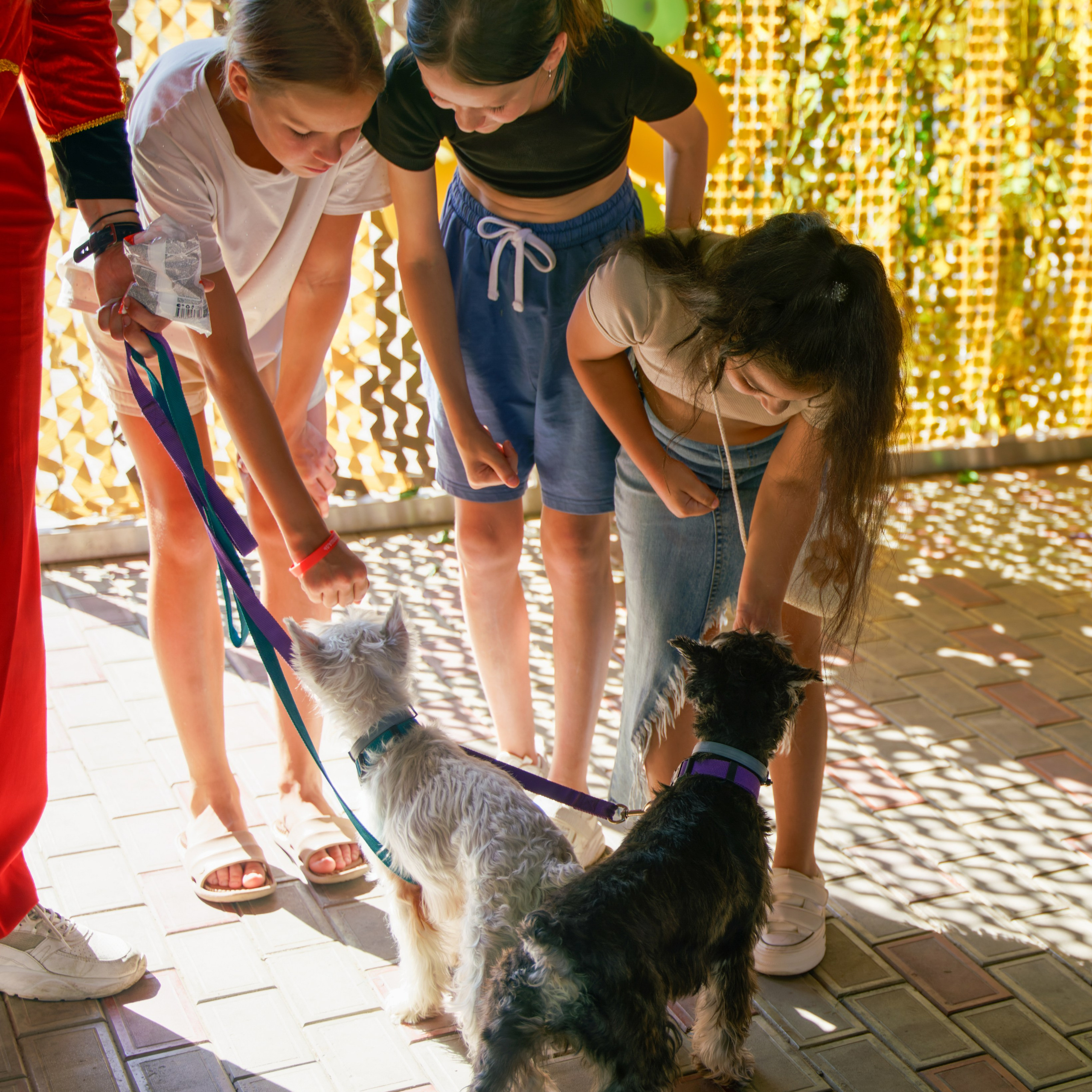 День рождения Ани. Главная