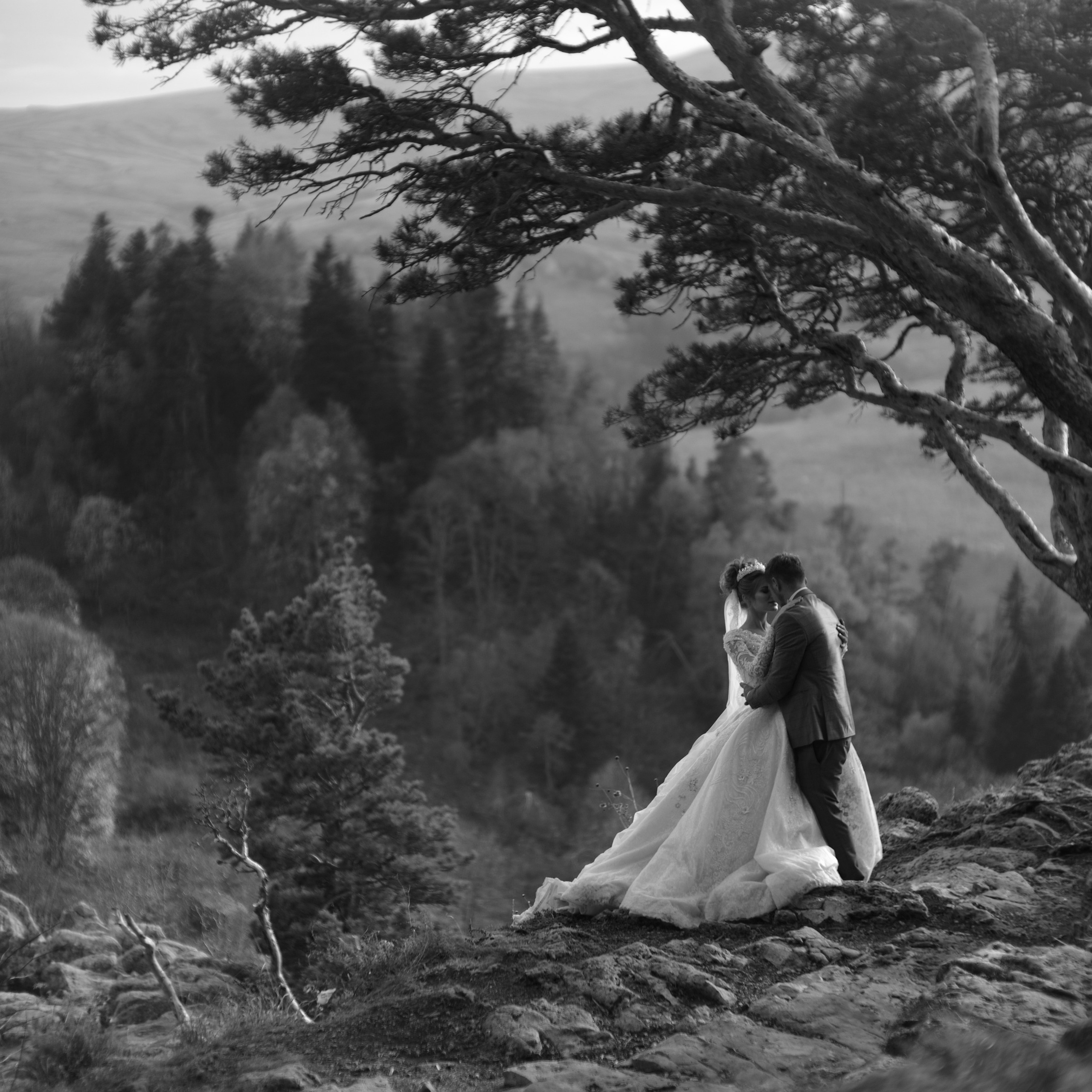 Фотосессия на краю света. Главная